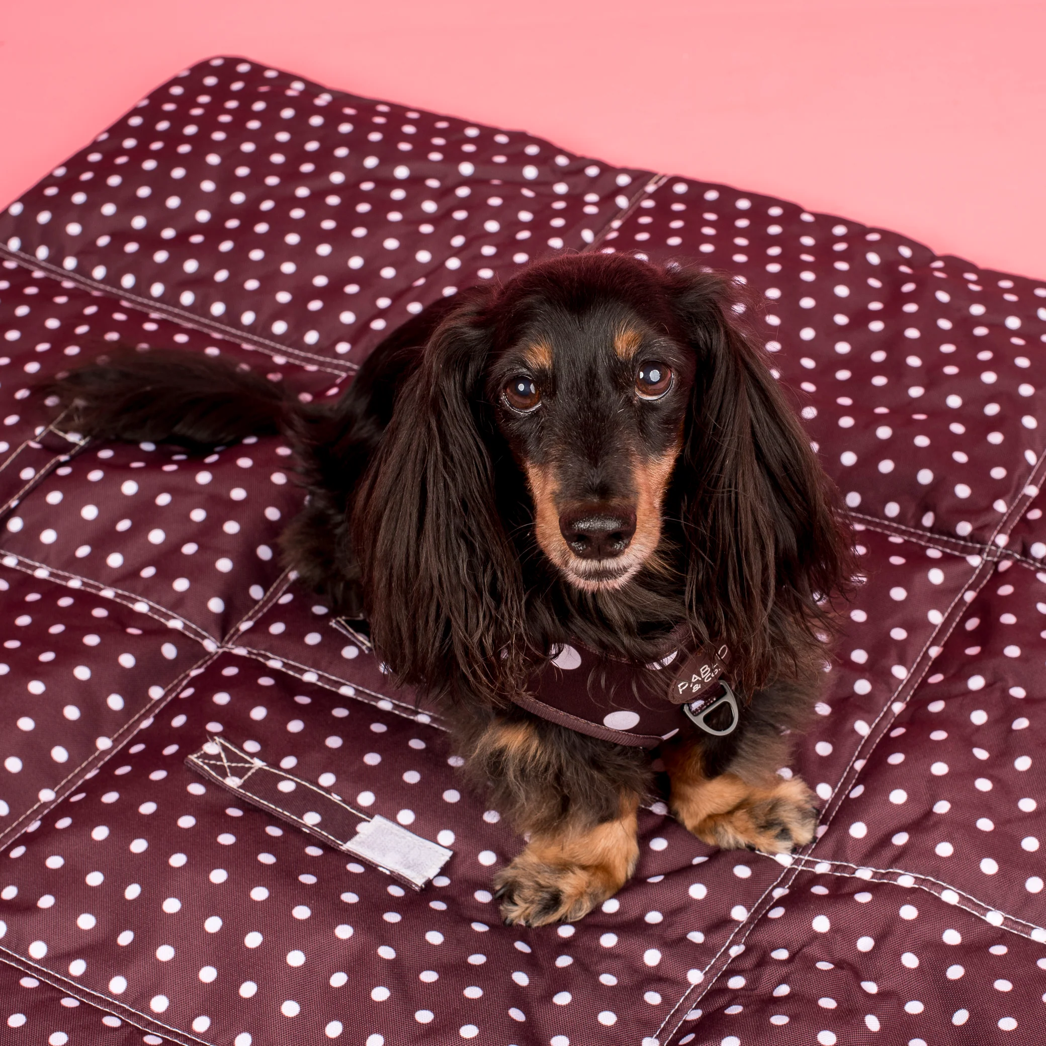 Deluxe Travel Mat: Polka Dots - Image 4