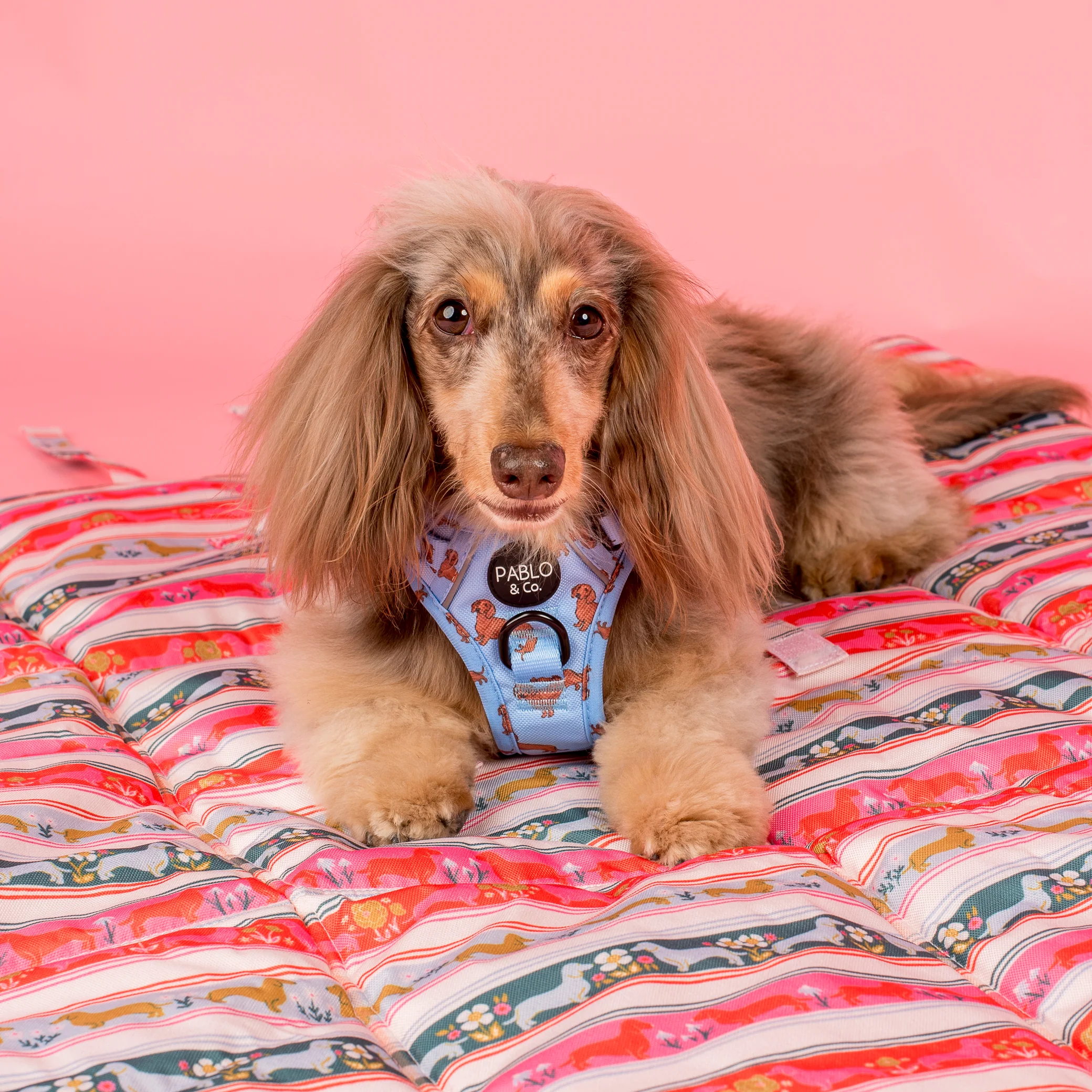 Deluxe Travel Mat: The Blooming Dachshund - Image 3