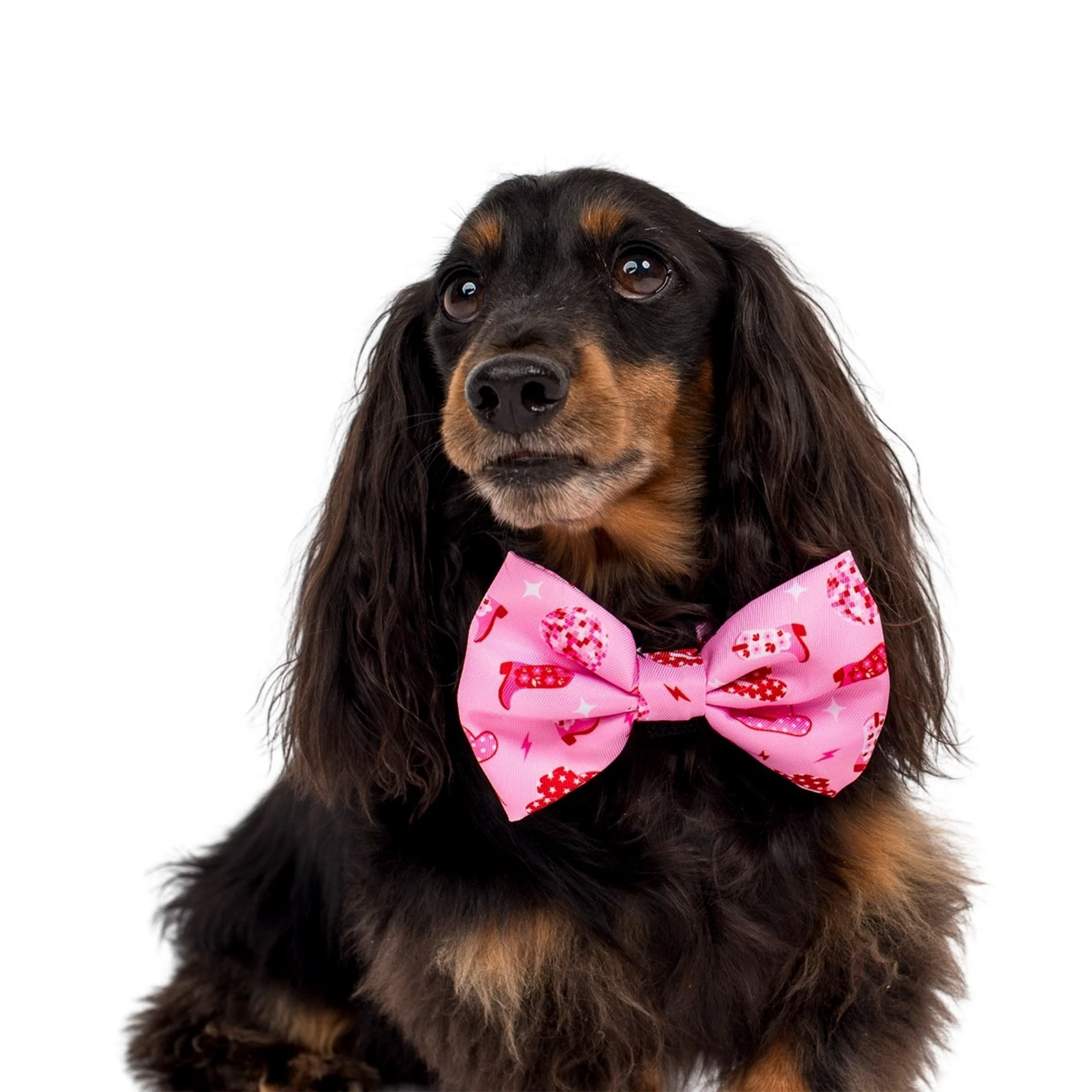 Disco Cowgirl: Bow Tie - Image 3