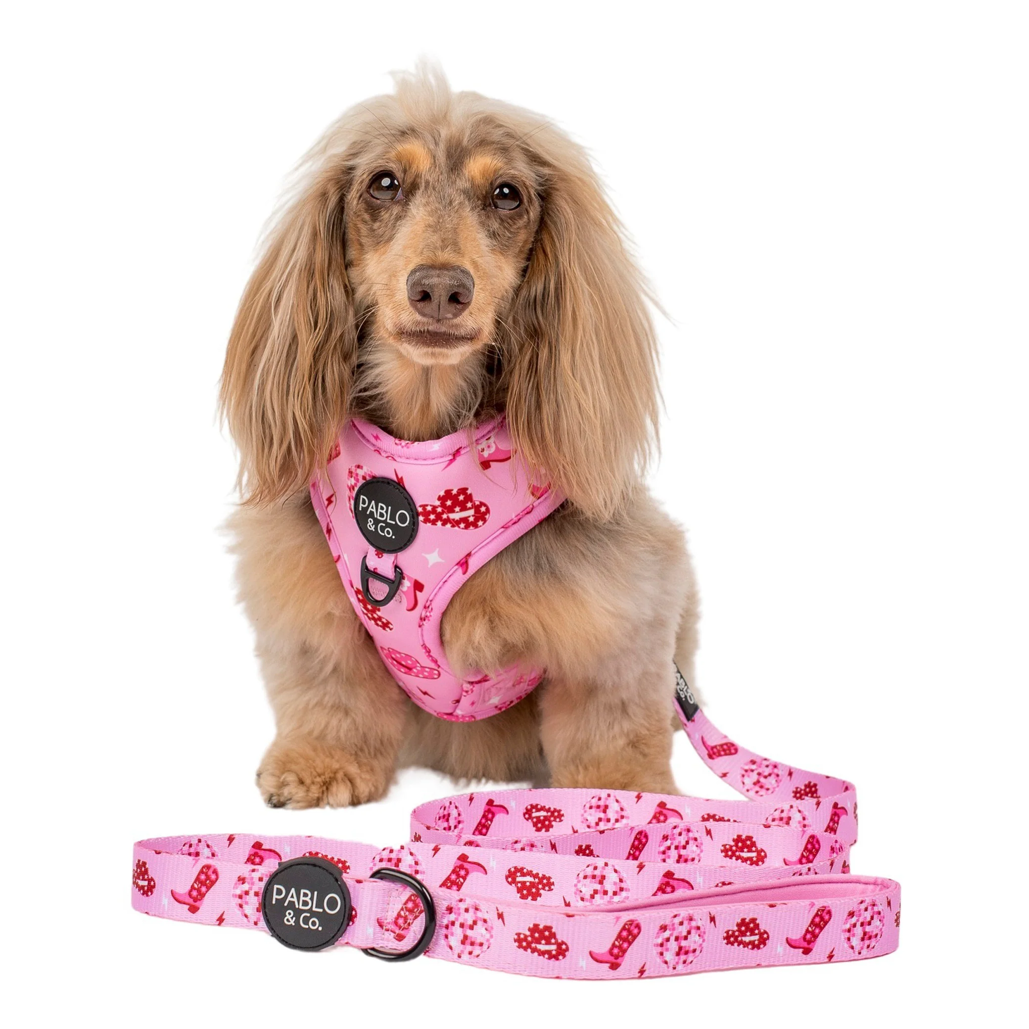 Disco Cowgirl: Dog Leash - Image 4
