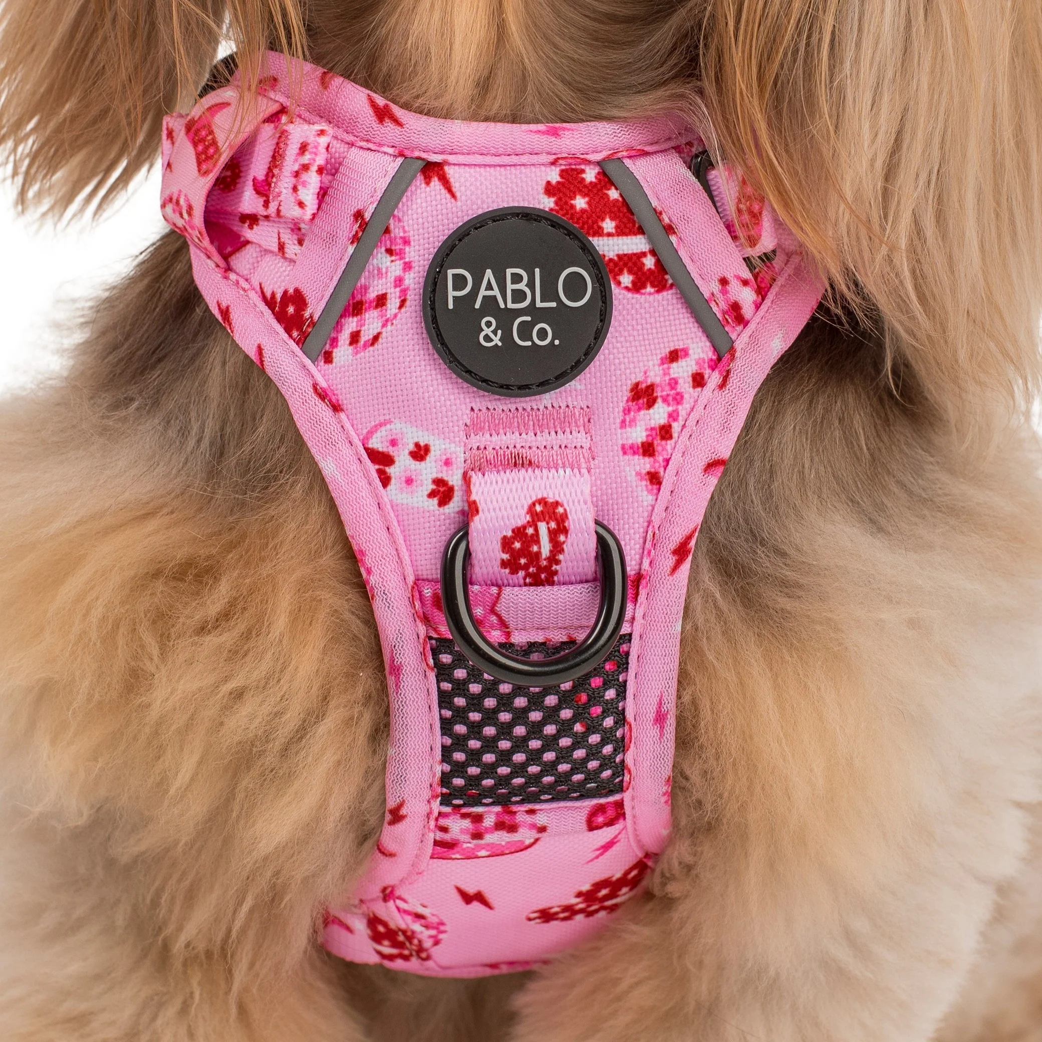 Disco Cowgirl: No Pull Adventure Harness - Image 3