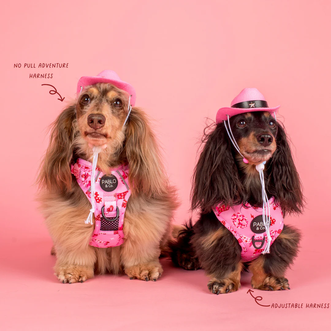 Disco Cowgirl: Adjustable Harness - Image 3