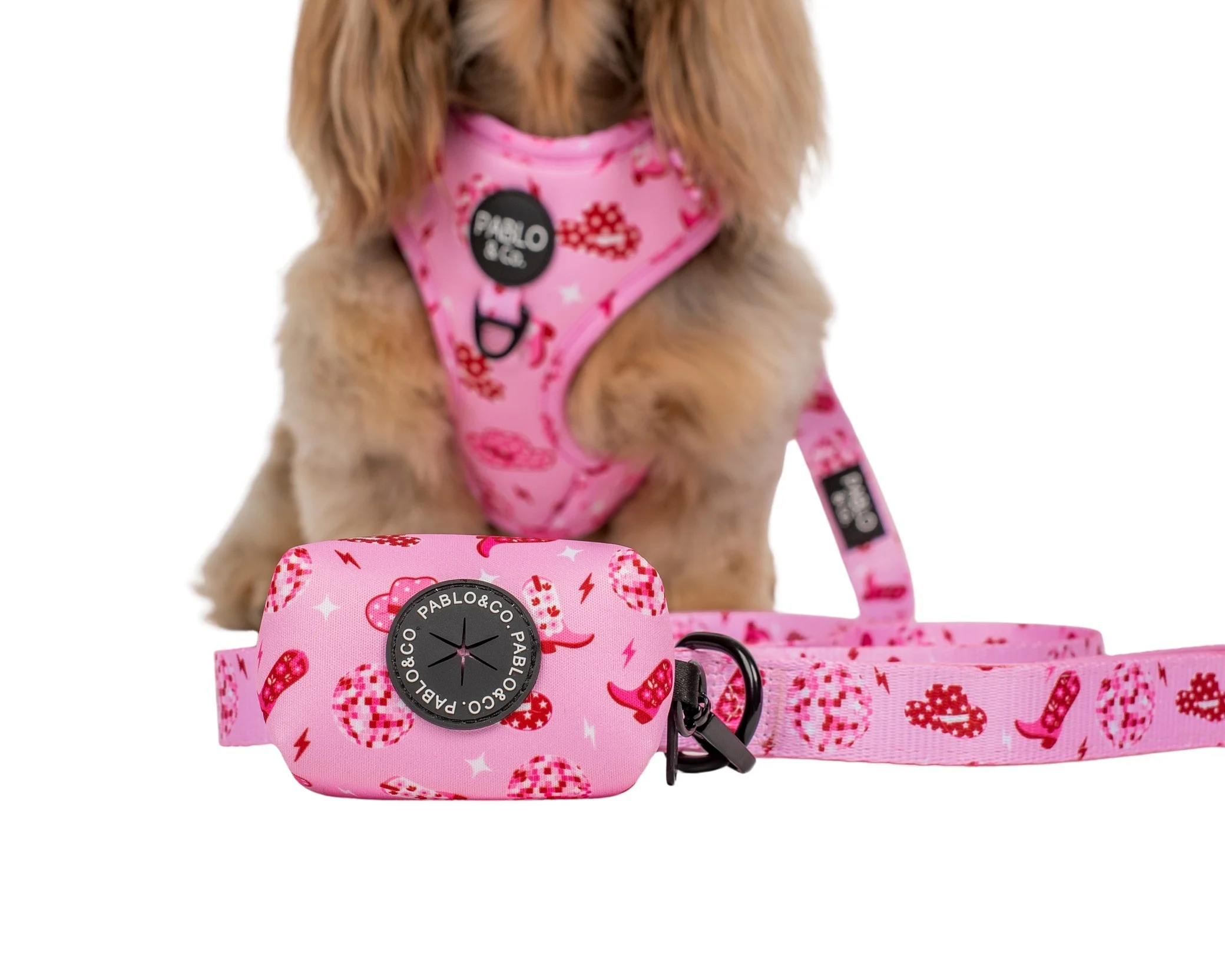 Disco Cowgirl - Poop Bag Holder - Image 2
