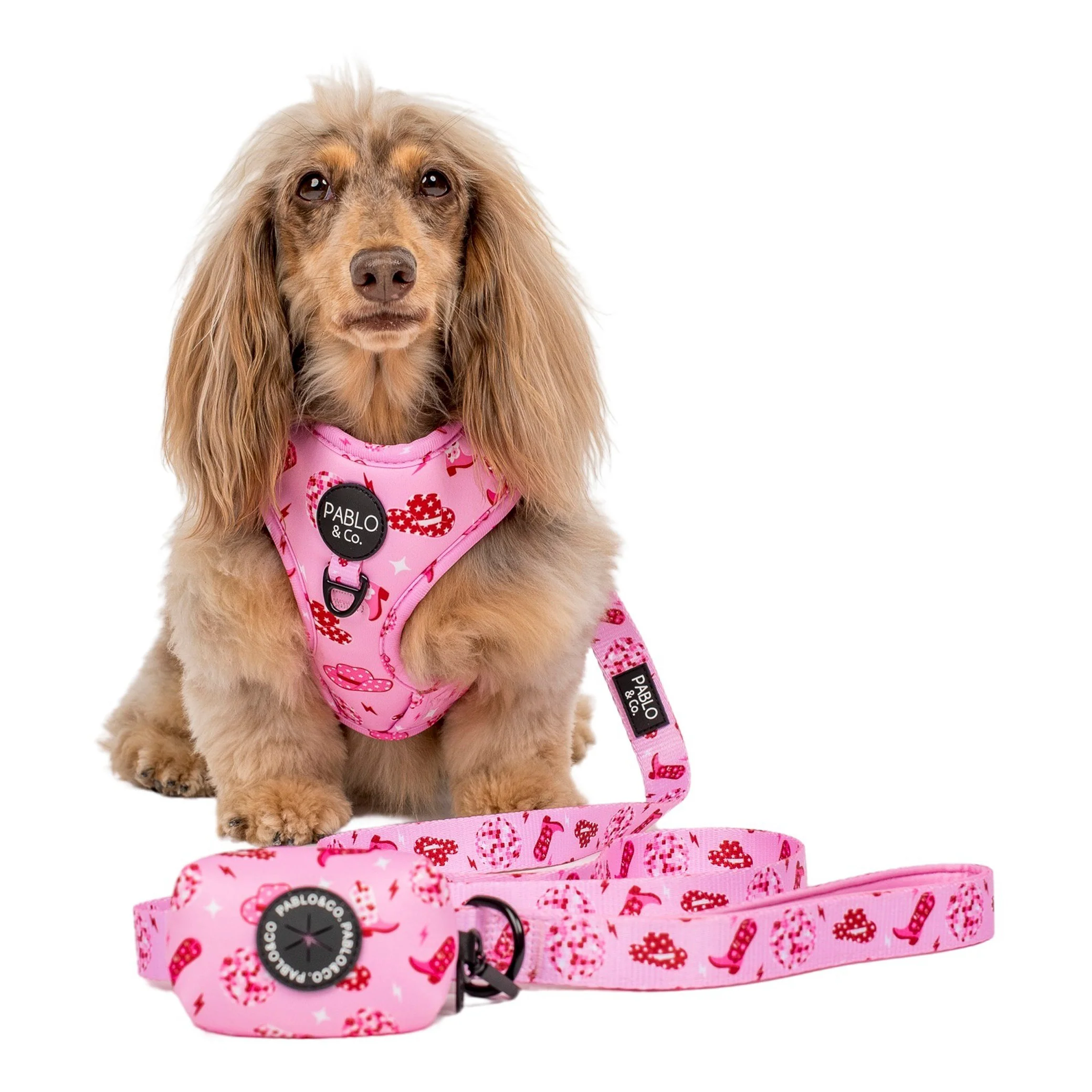 Disco Cowgirl - Poop Bag Holder - Image 4