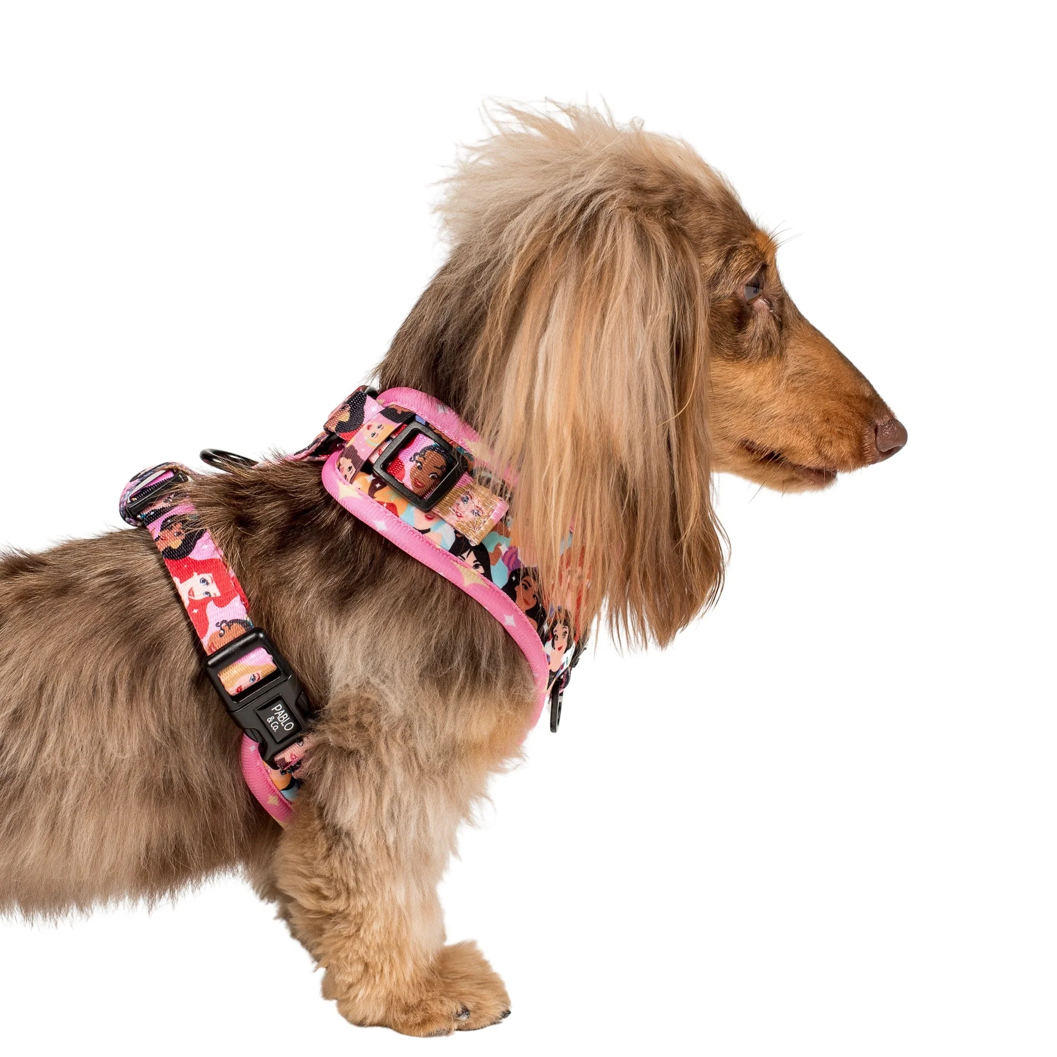 Disney Princesses: Adjustable Harness - Image 3