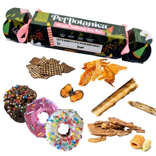 Dog Birthday Bon Bon - Image 3