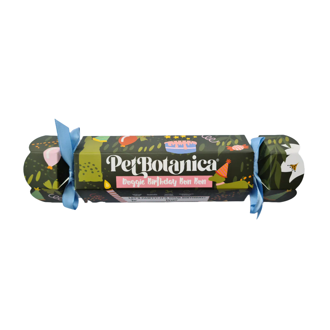 Dog Birthday Bon Bon - Image 5