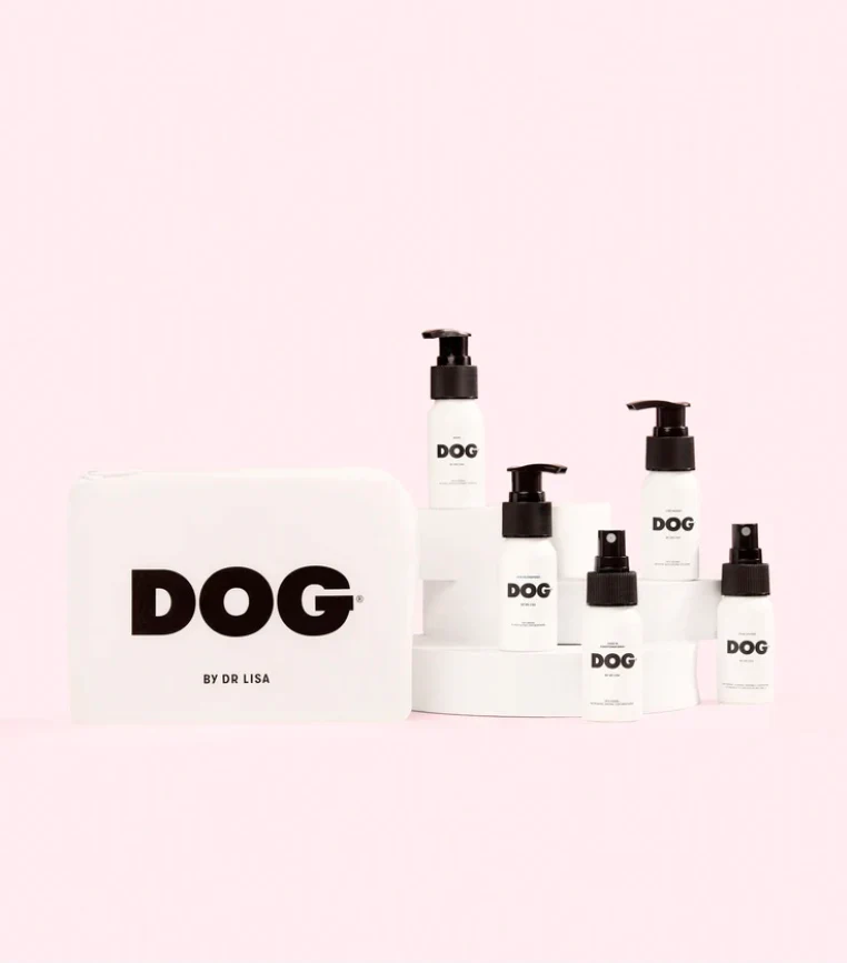 DOG by Dr Lisa Minis Set