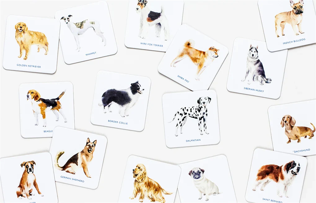 Dog Coasters
