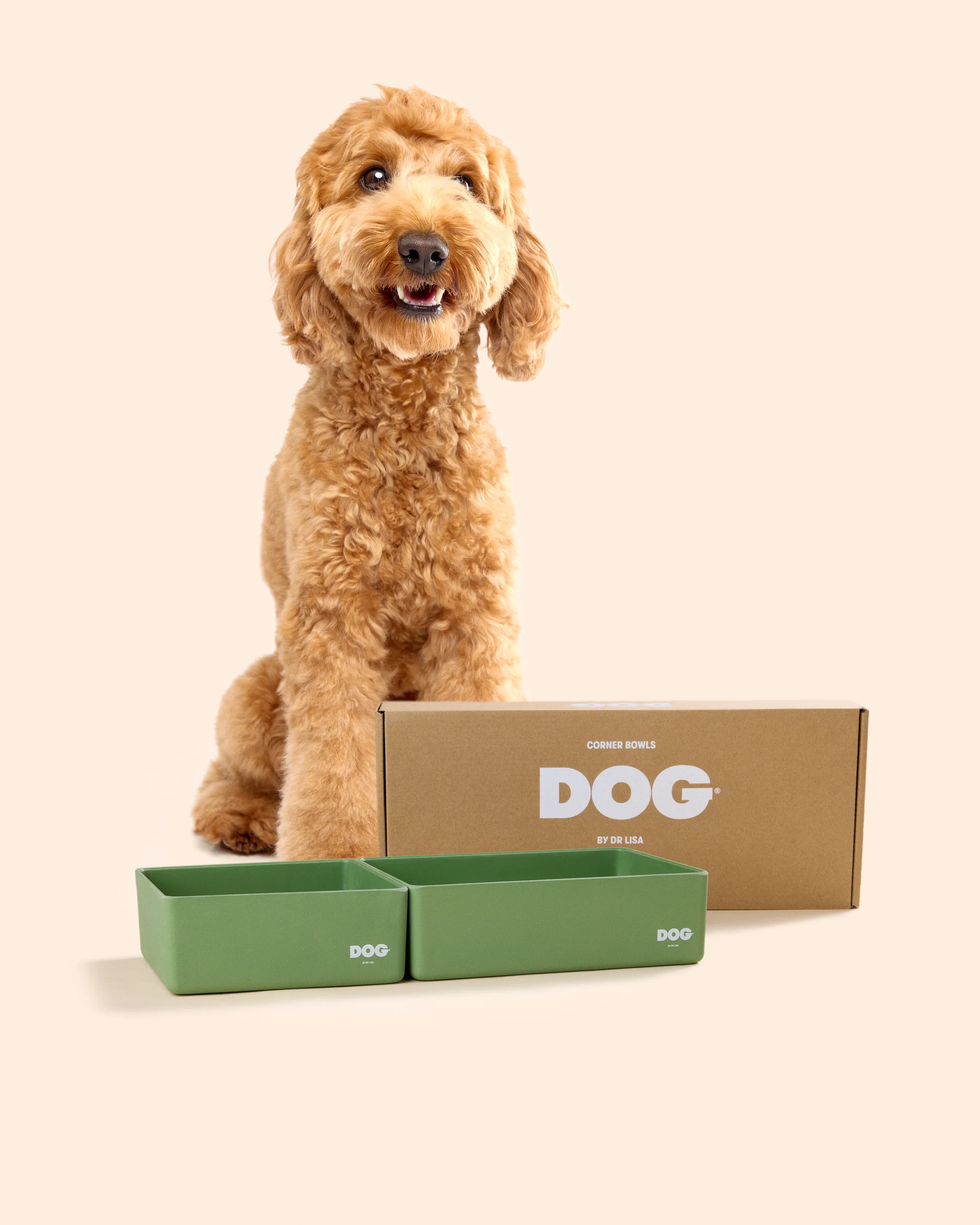 DOG Corner Bowl Set - Olive - Image 3