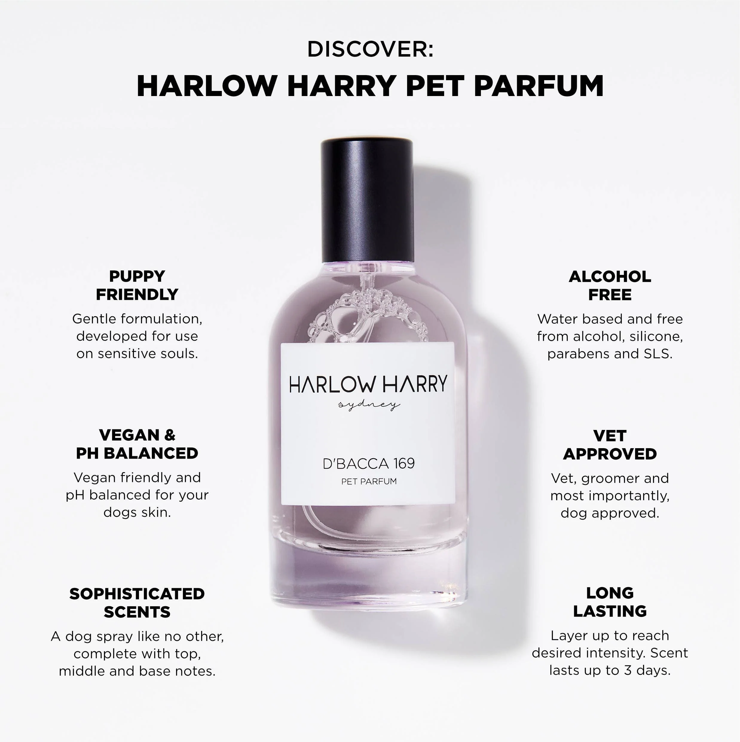 Harlow Harry: Dog Perfume | D'bacca 169 - Image 5