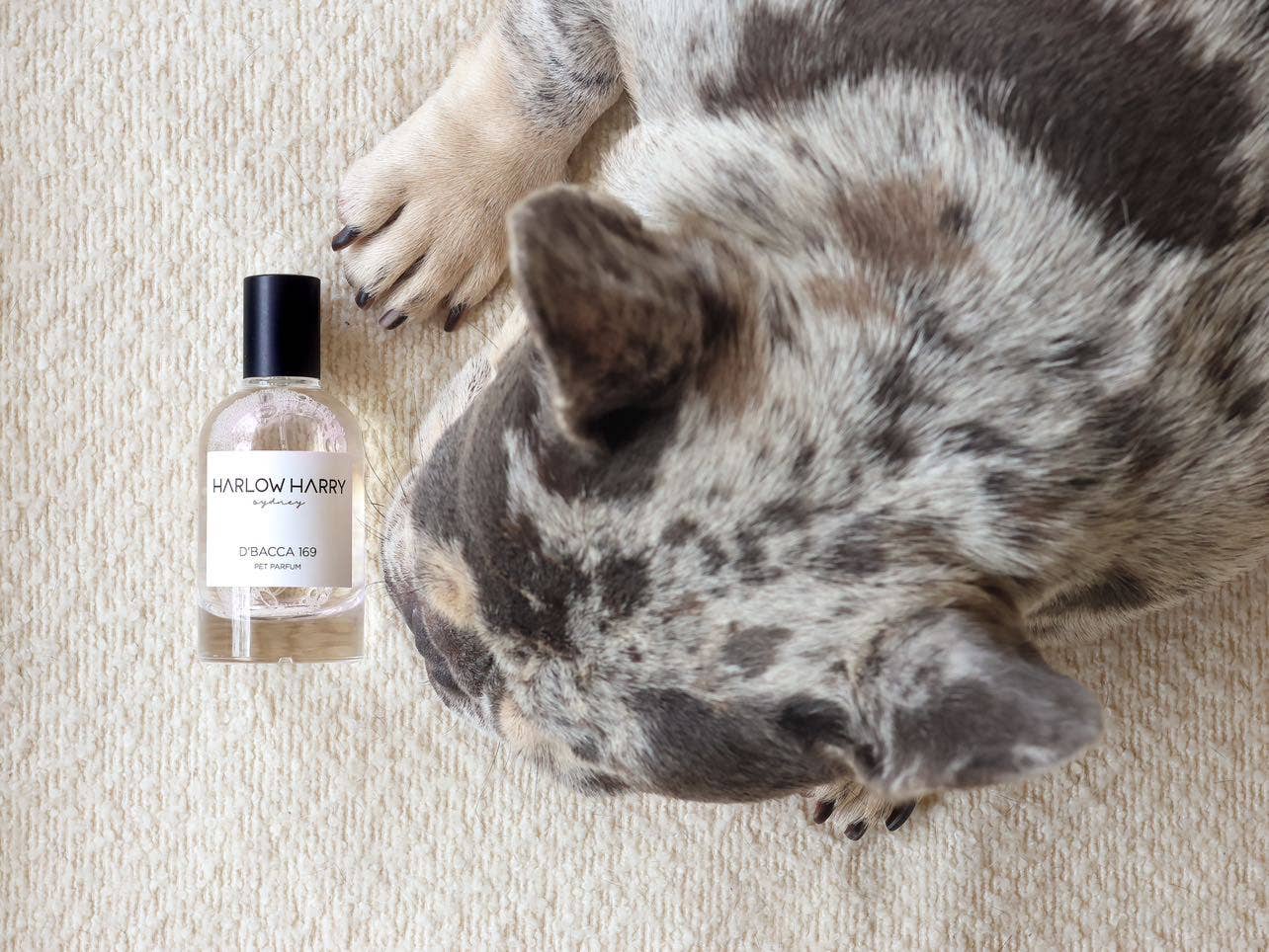Harlow Harry: Dog Perfume | Hunter 33 - Image 10