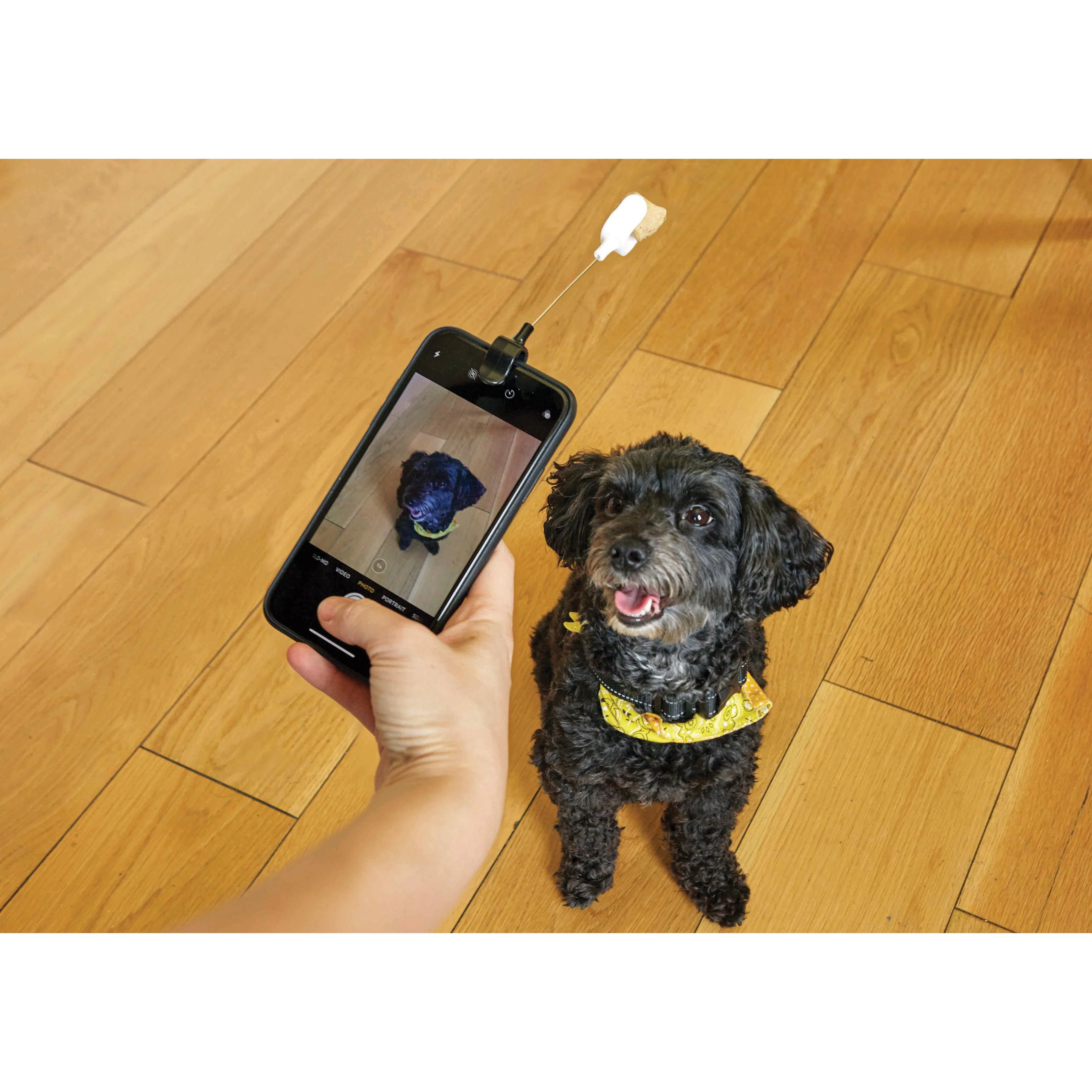 Dog Treat Selfie Clip - Image 2