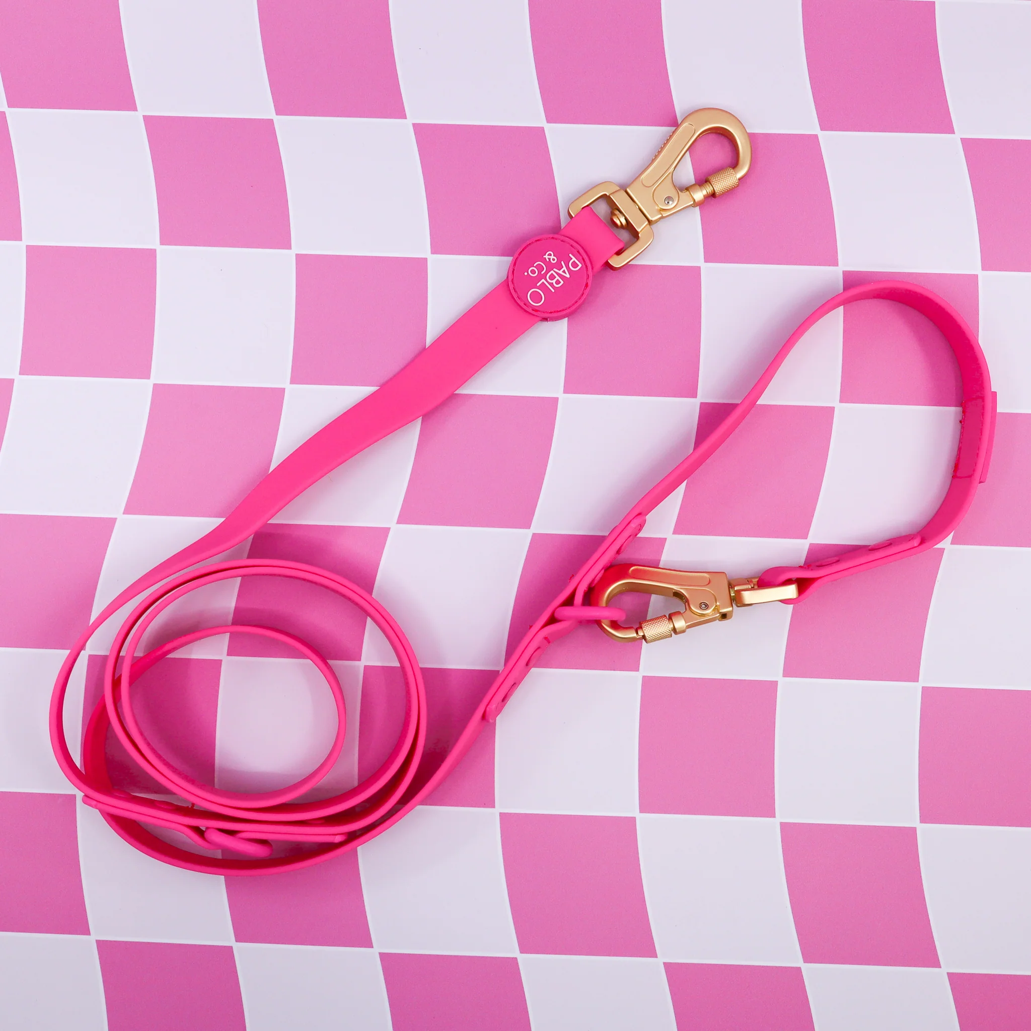 Dragonfruit: Multi-Functional Waterproof Leash - Image 2