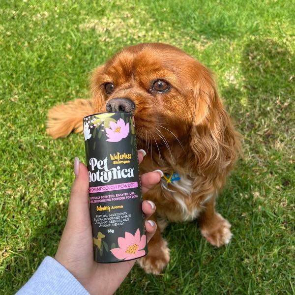 Pet Botanica: Dry Shampoo for dogs - Image 3