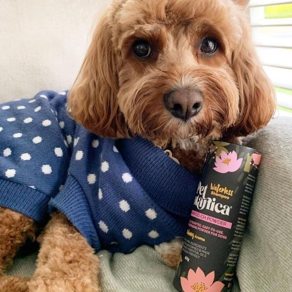 Pet Botanica: Dry Shampoo for dogs - Image 4
