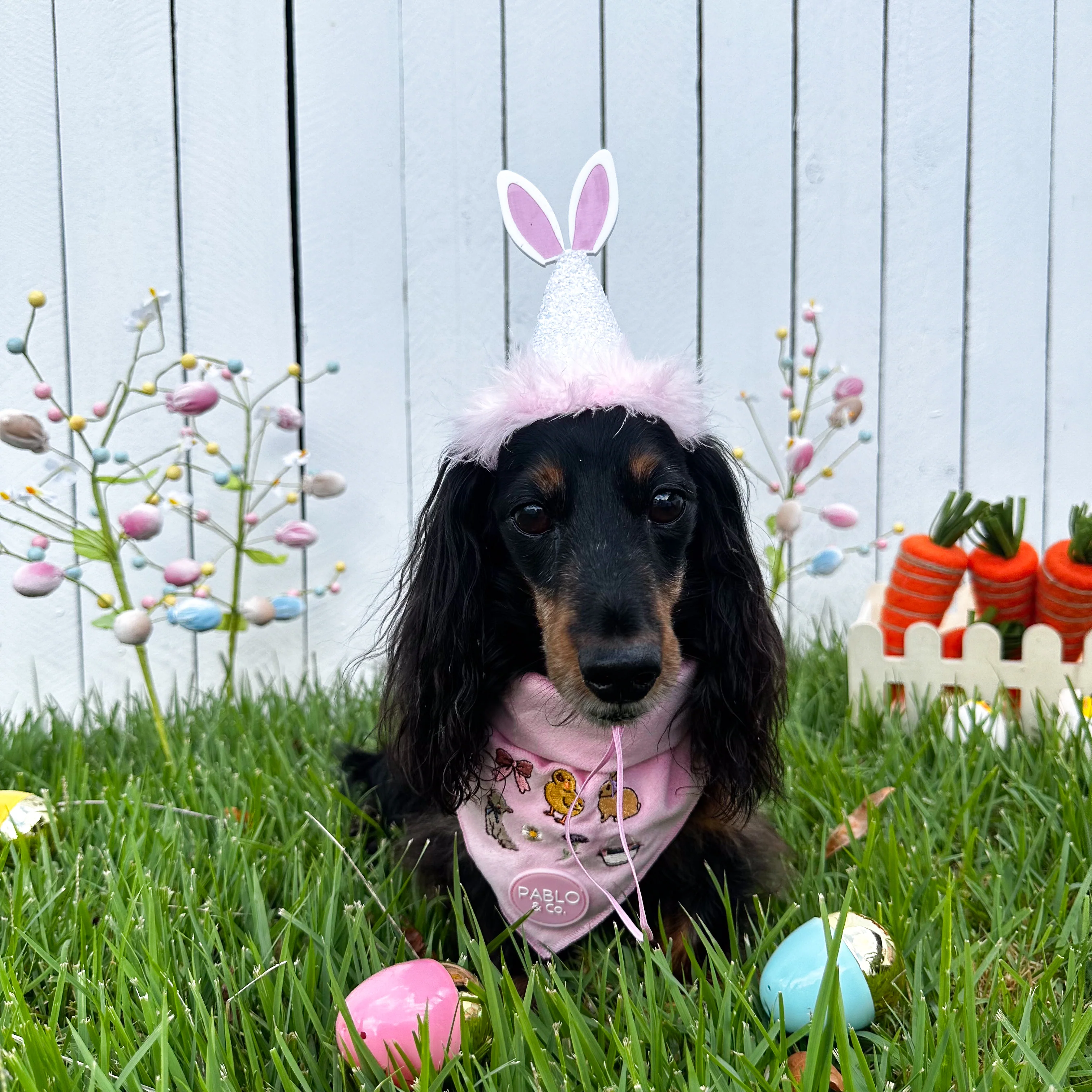 Easter Parade: Velvet Dog Bandana - Image 4