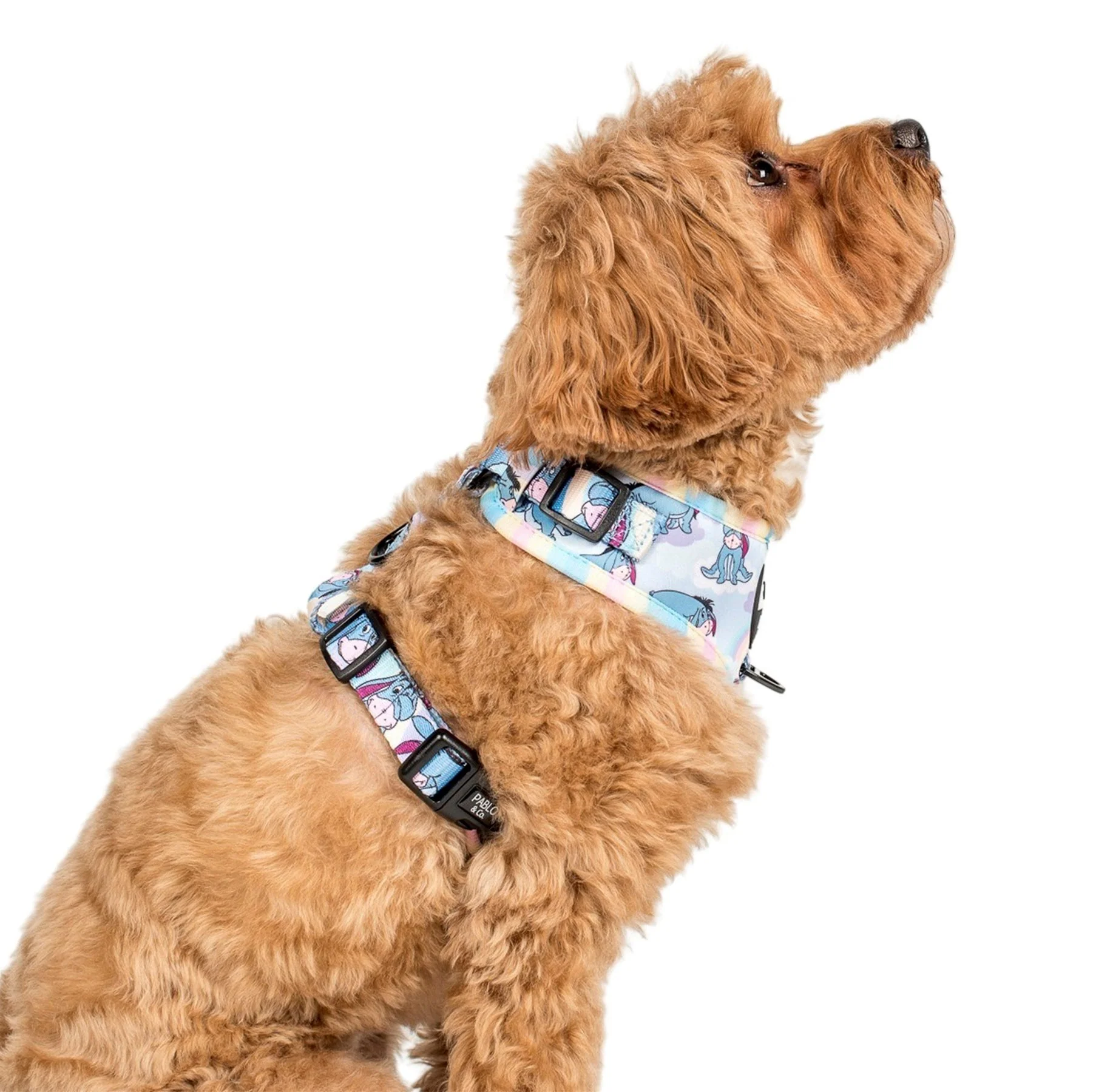 Eeyore: Adjustable Harness - Image 3