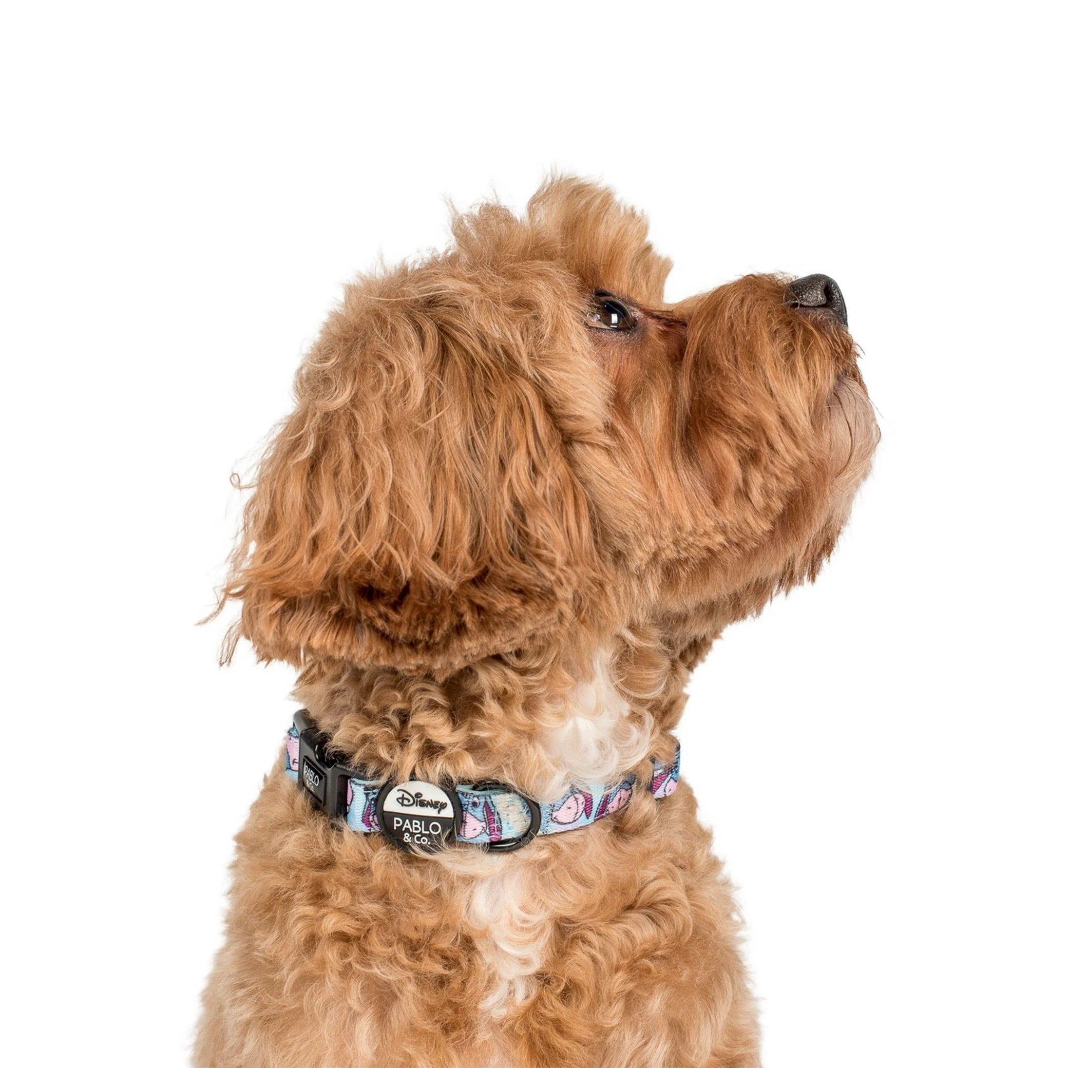 Eeyore: Dog Collar - Image 3
