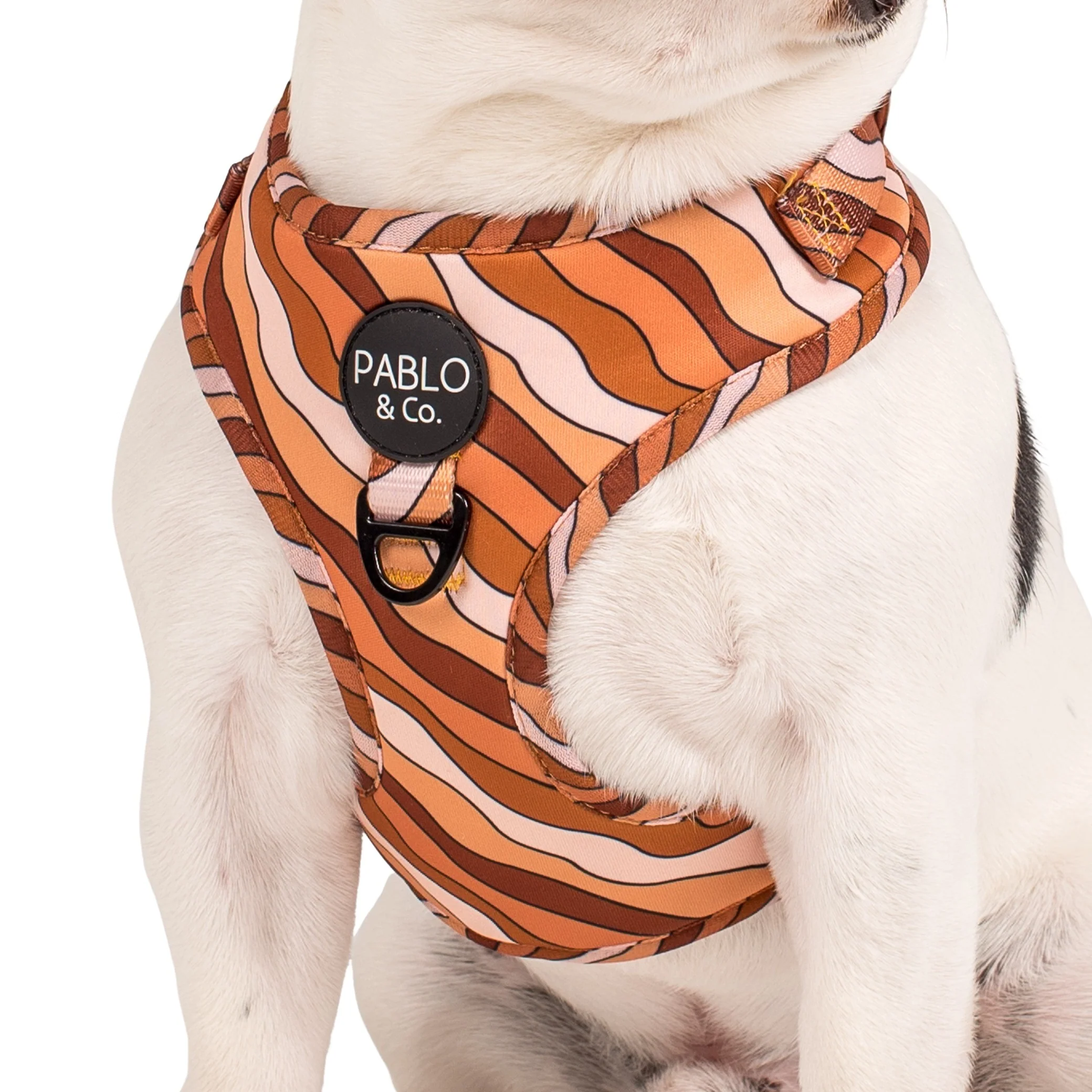 Espresso Swirls: Adjustable Harness - Image 2