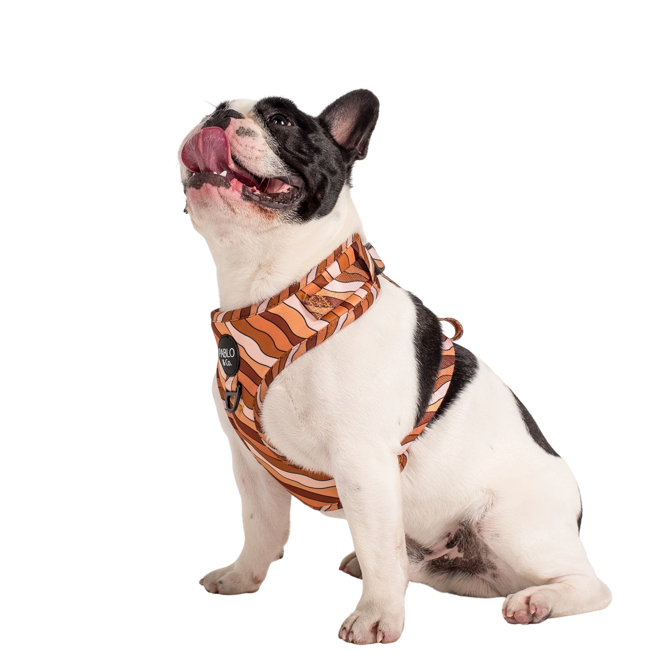 Espresso Swirls: Adjustable Harness - Image 3