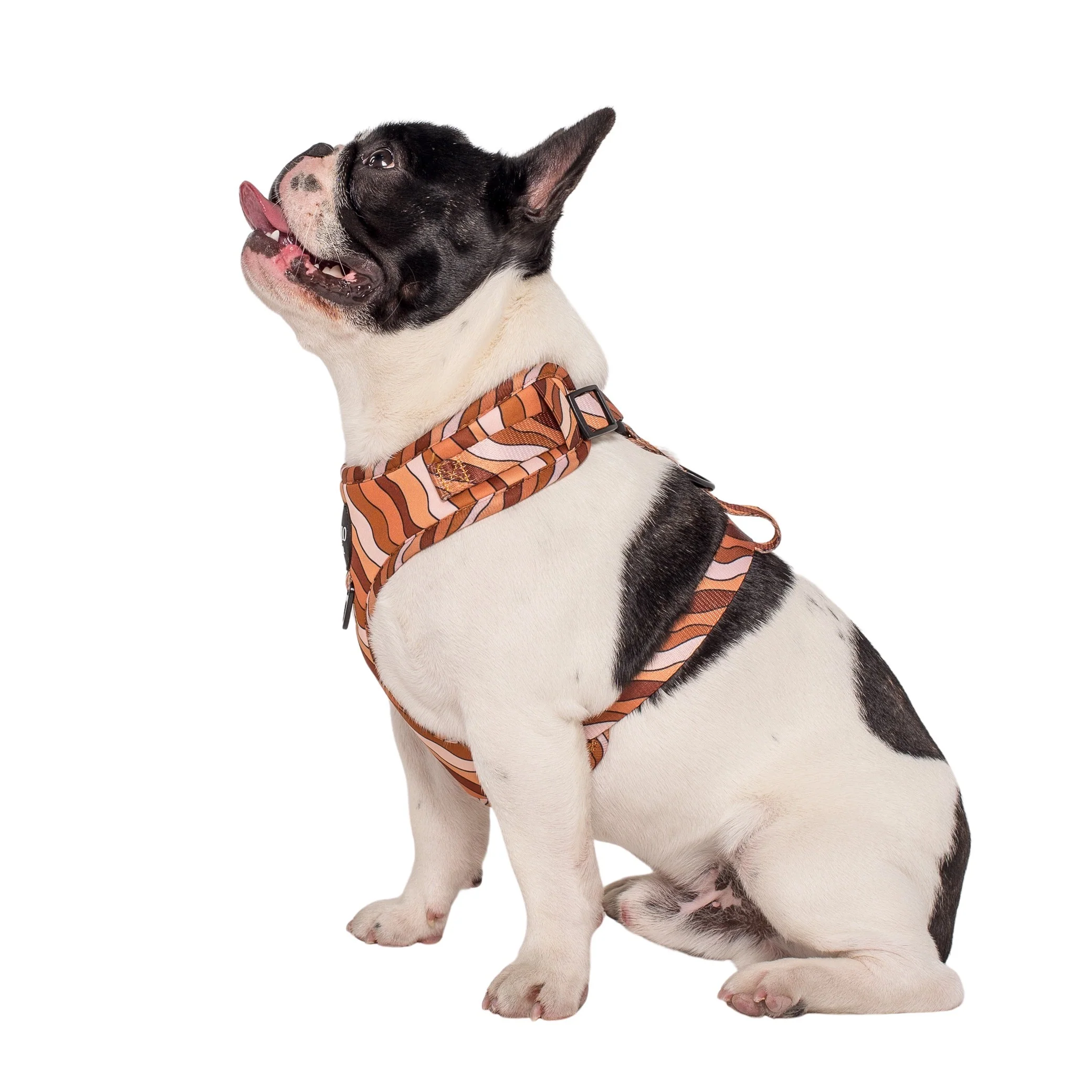 Espresso Swirls: Adjustable Harness - Image 4