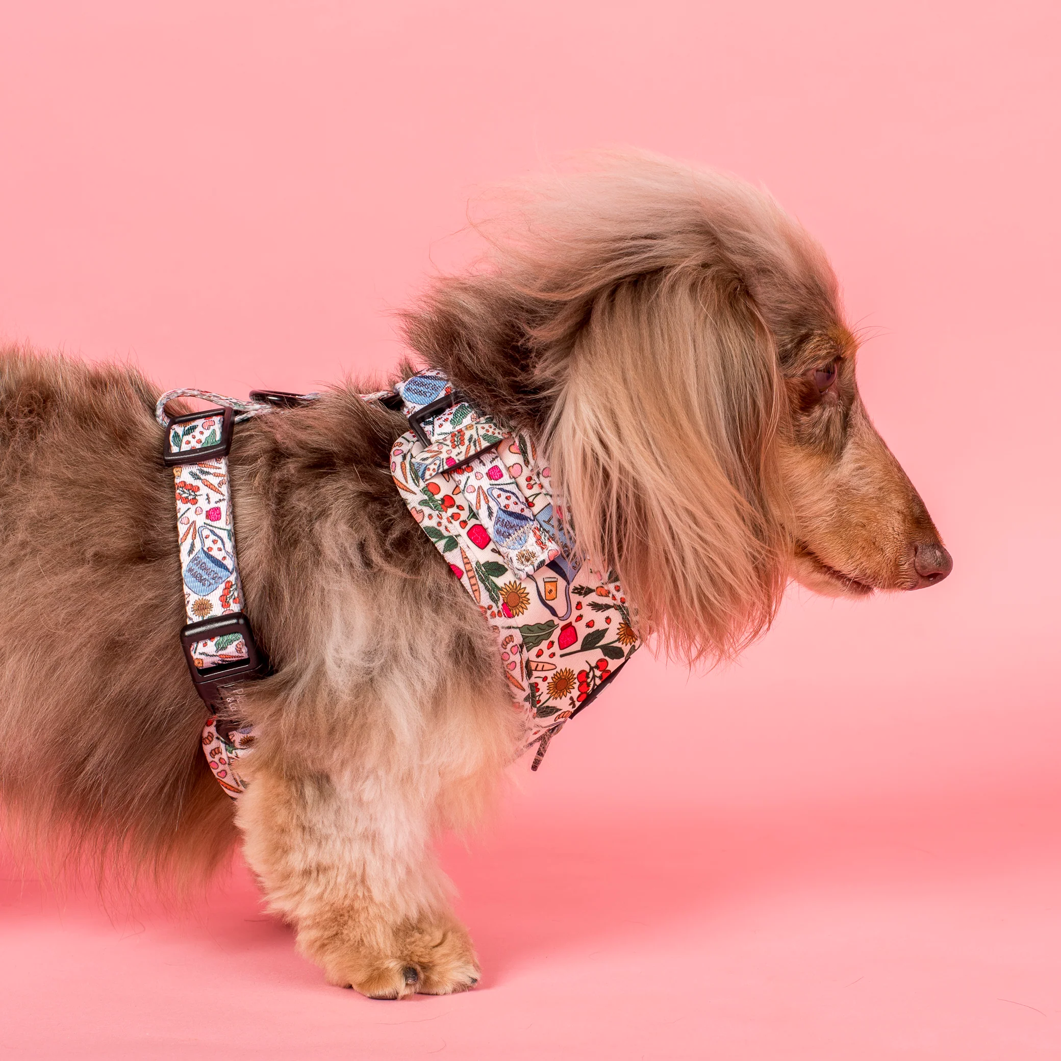 Farmers Market: Adjustable Harness - Image 3
