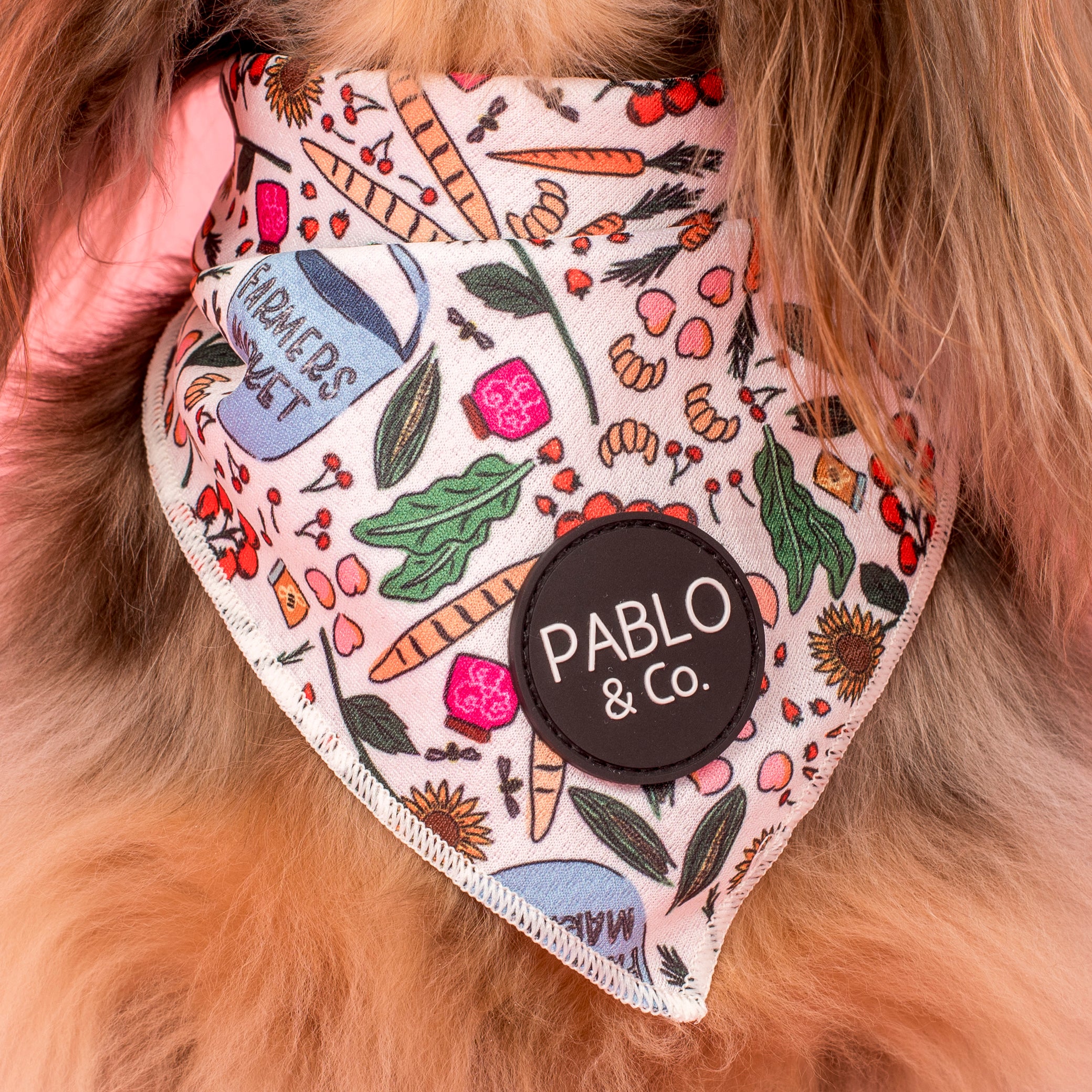 Farmers Market: Dog Bandana - Image 2
