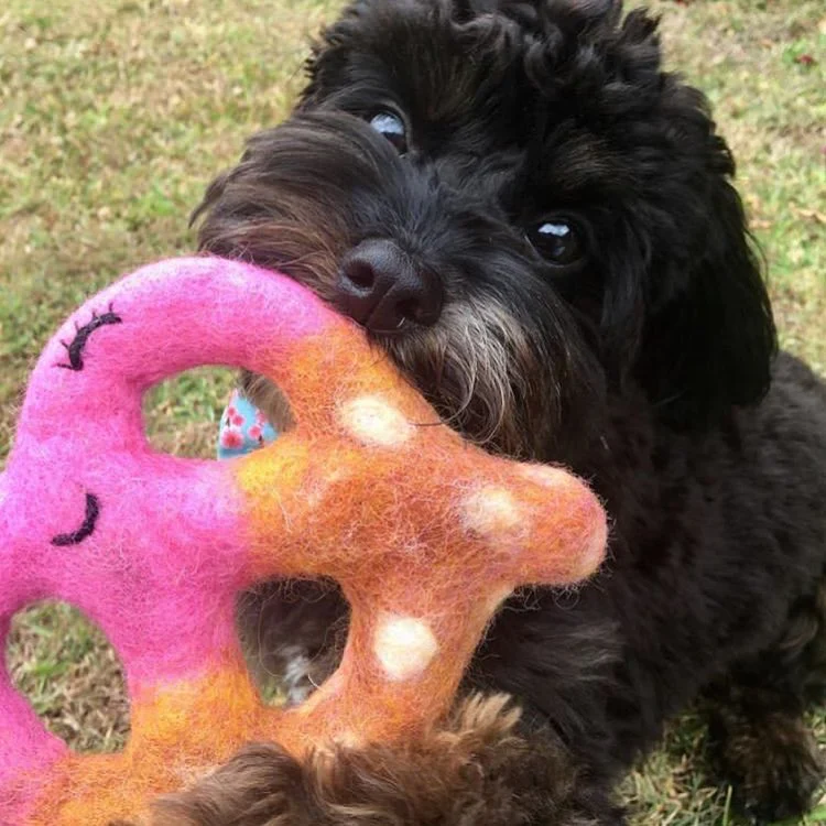 Felt Pretzel Dog Toss - Image 8