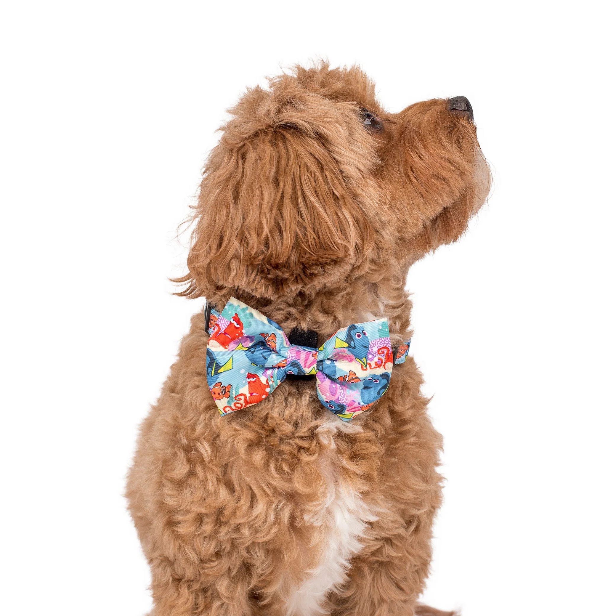 Finding Nemo: Bow Tie - Image 2