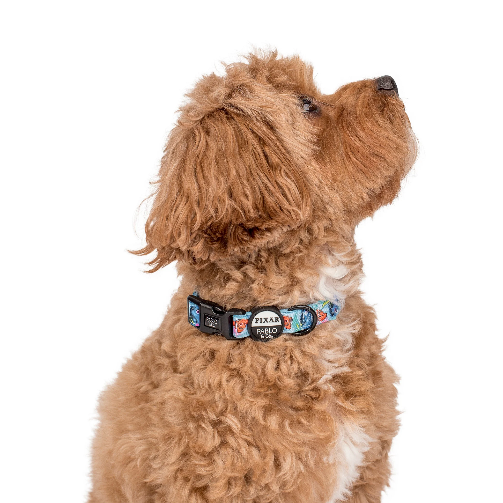 Finding Nemo: Dog Collar - Image 3
