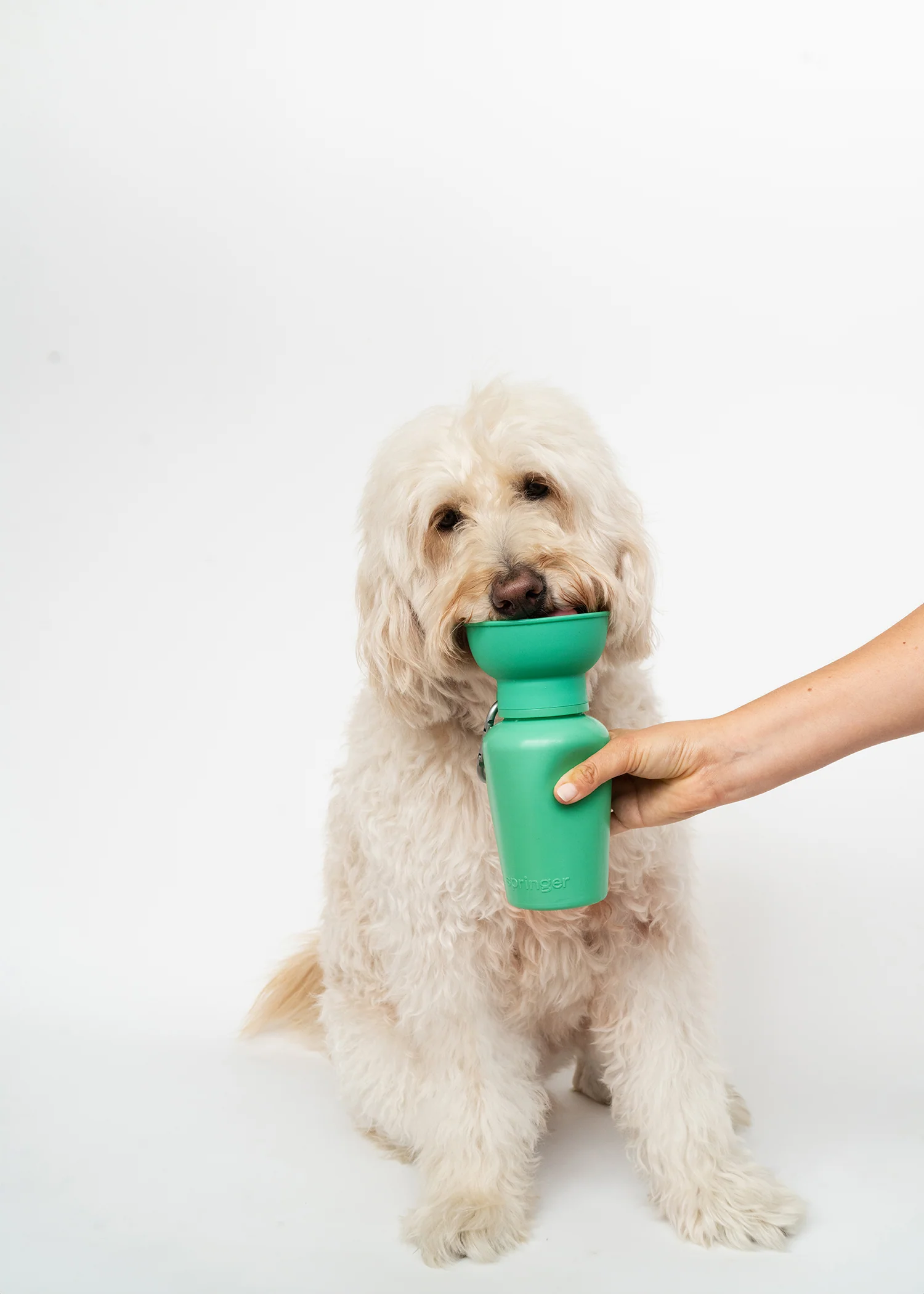 Flip Dog Travel Water Bottle - Image 2