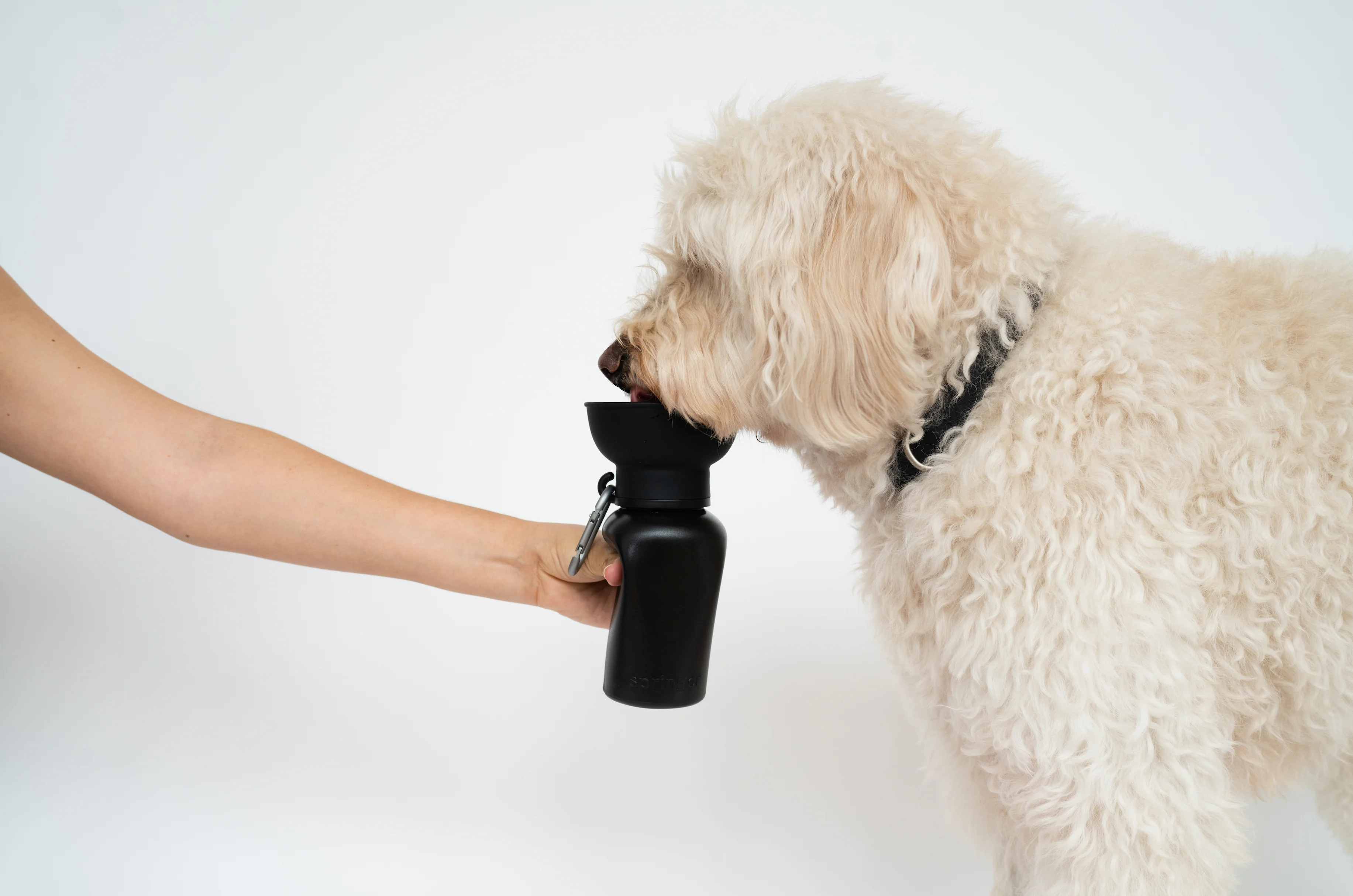 Flip Dog Travel Water Bottle - Image 4