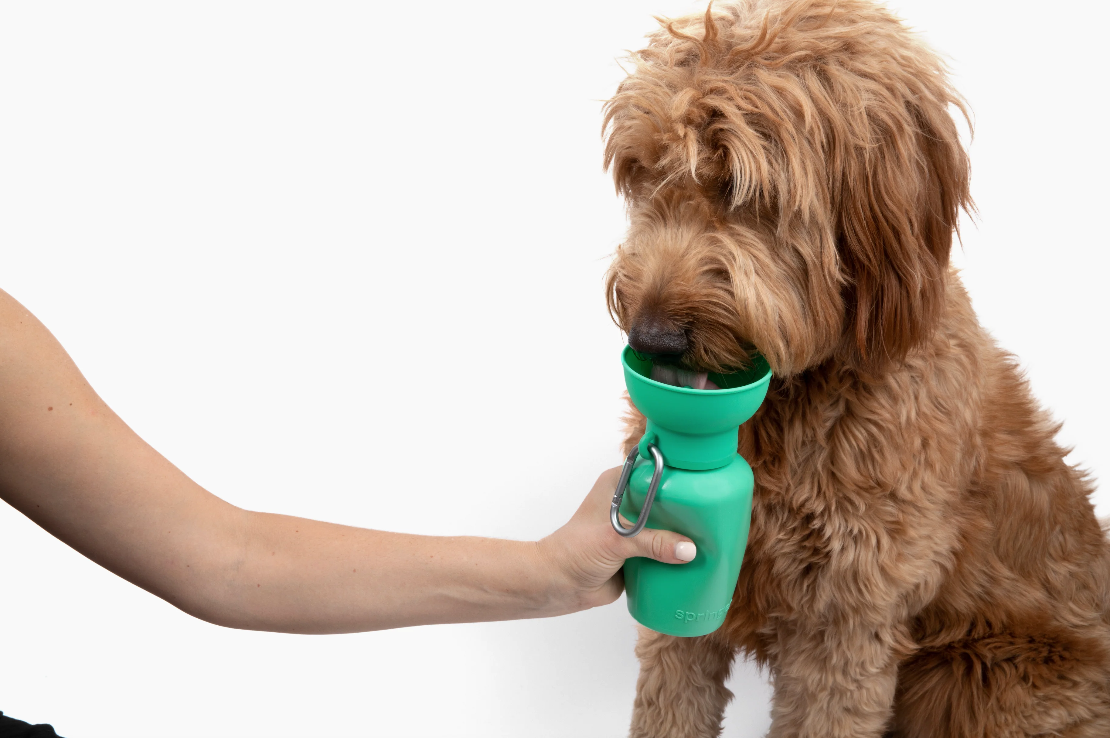 Flip Dog Travel Water Bottle - Image 5