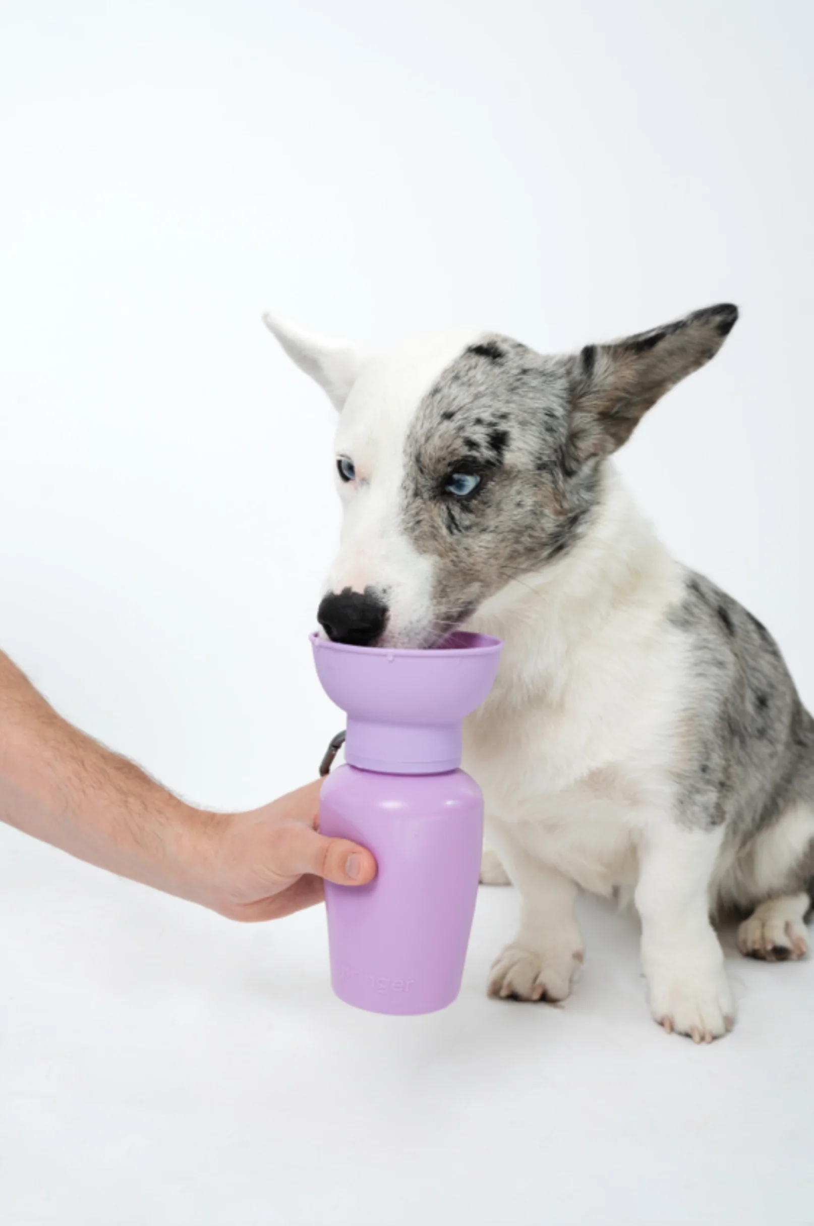 Flip Dog Travel Water Bottle - Image 6
