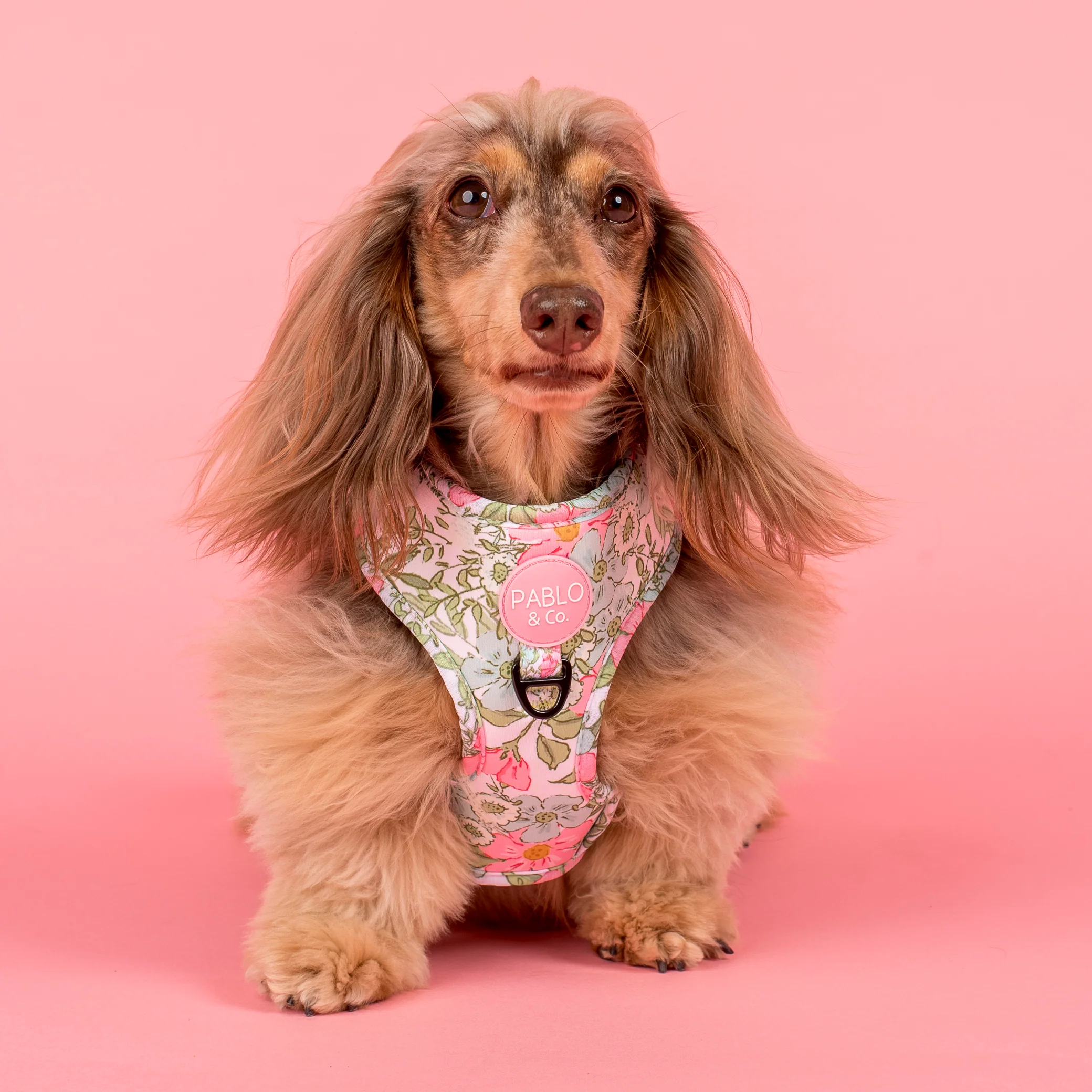 Flora & Fern: Adjustable Harness