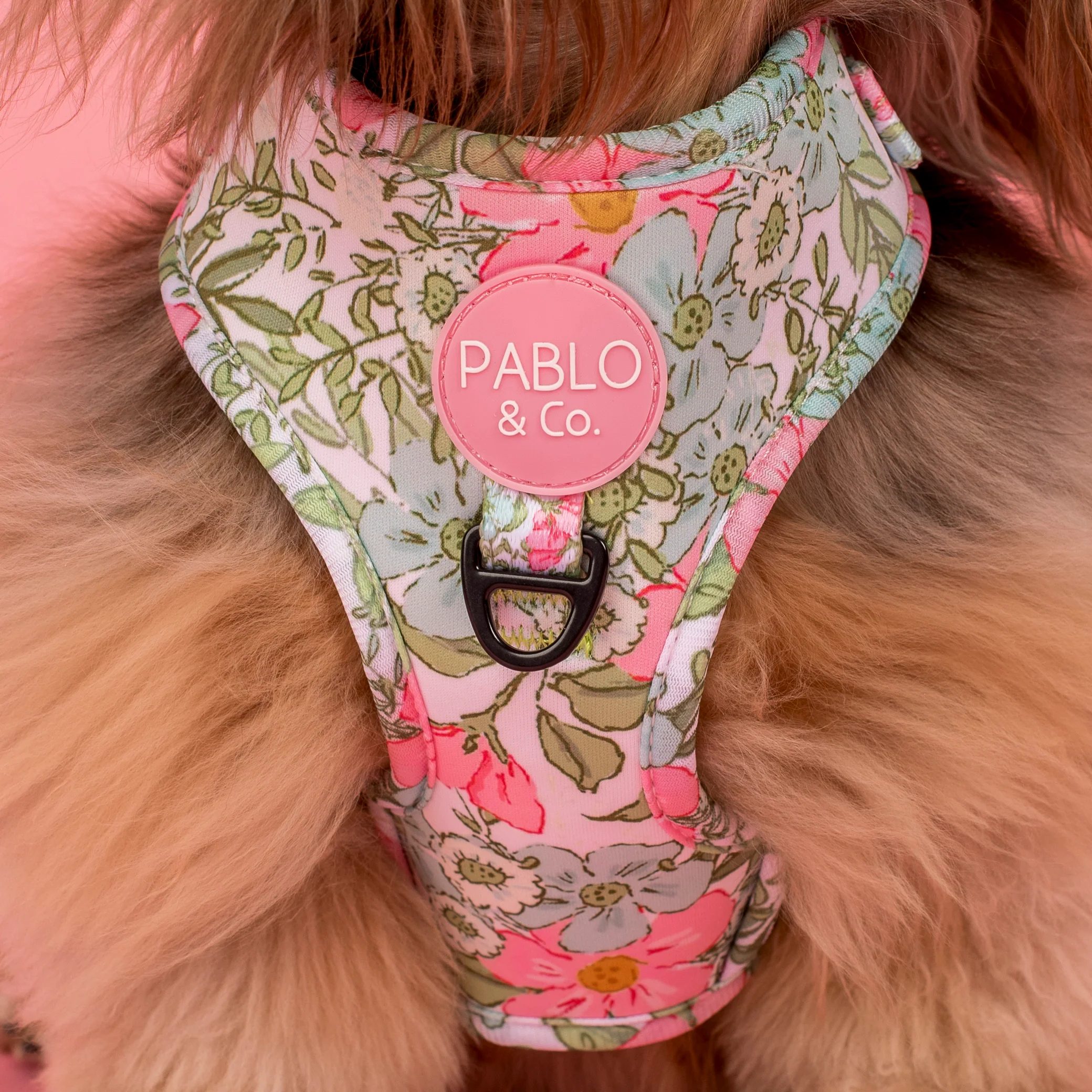 Flora & Fern: Adjustable Harness - Image 2