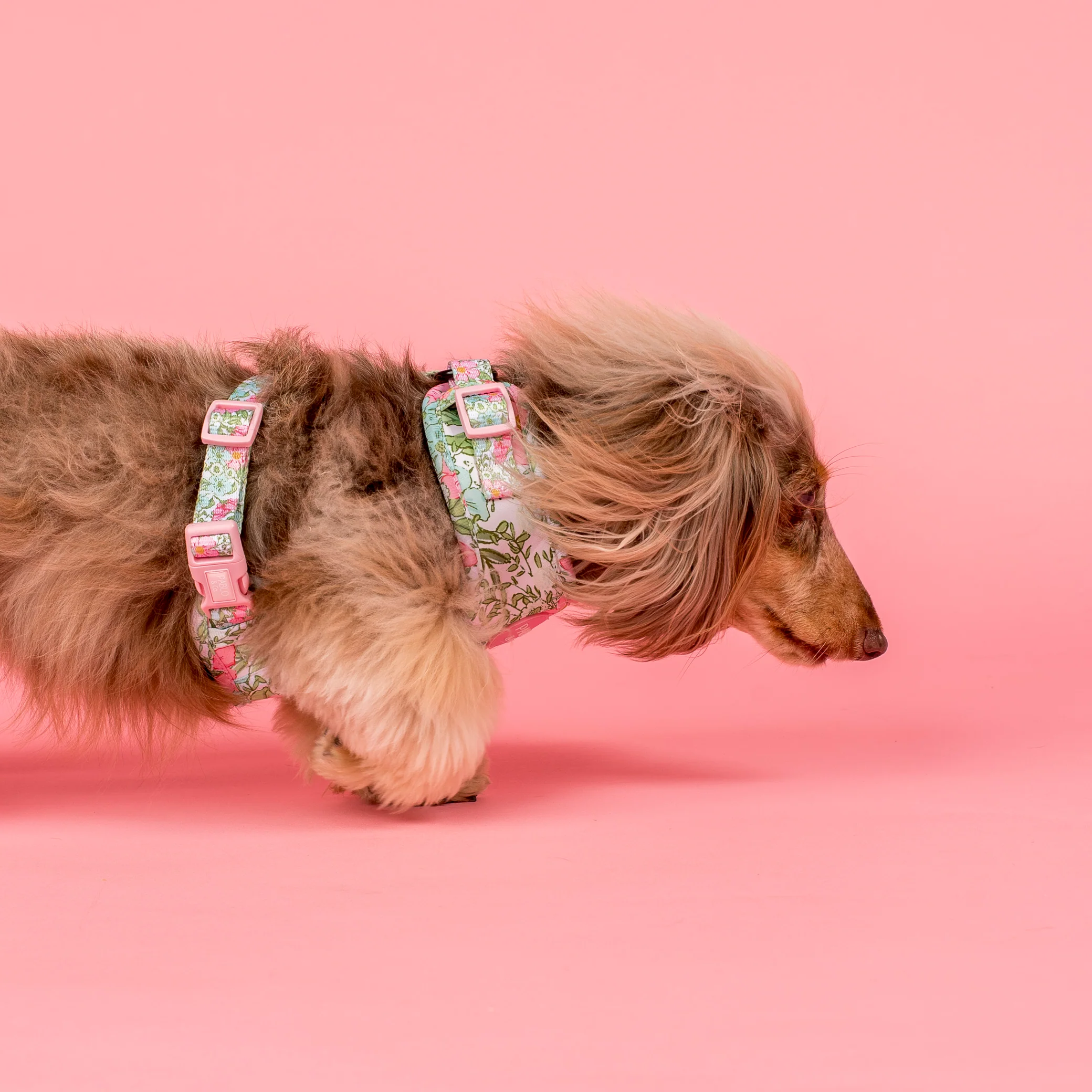 Flora & Fern: Adjustable Harness - Image 3