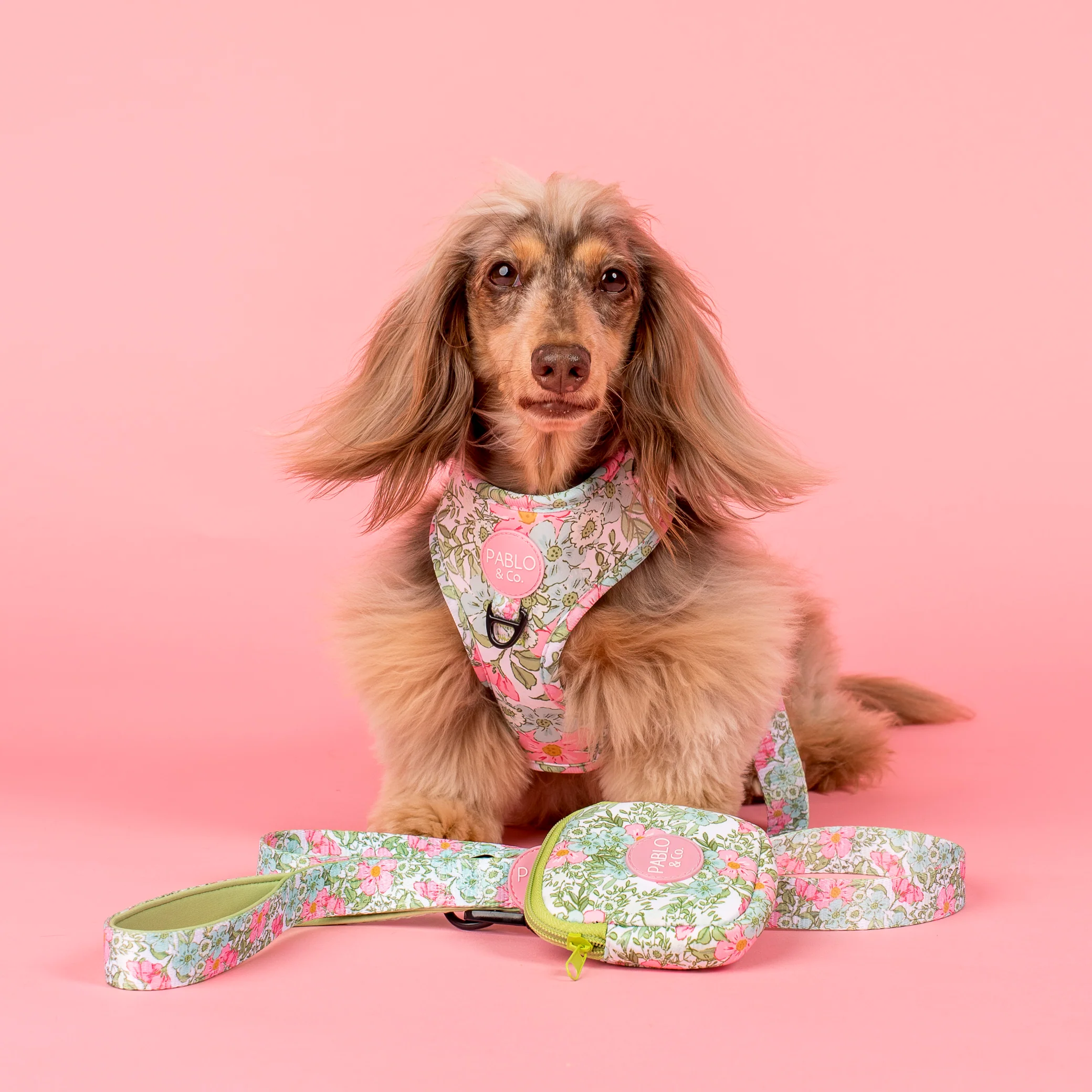 Flora & Fern: Adjustable Harness - Image 5