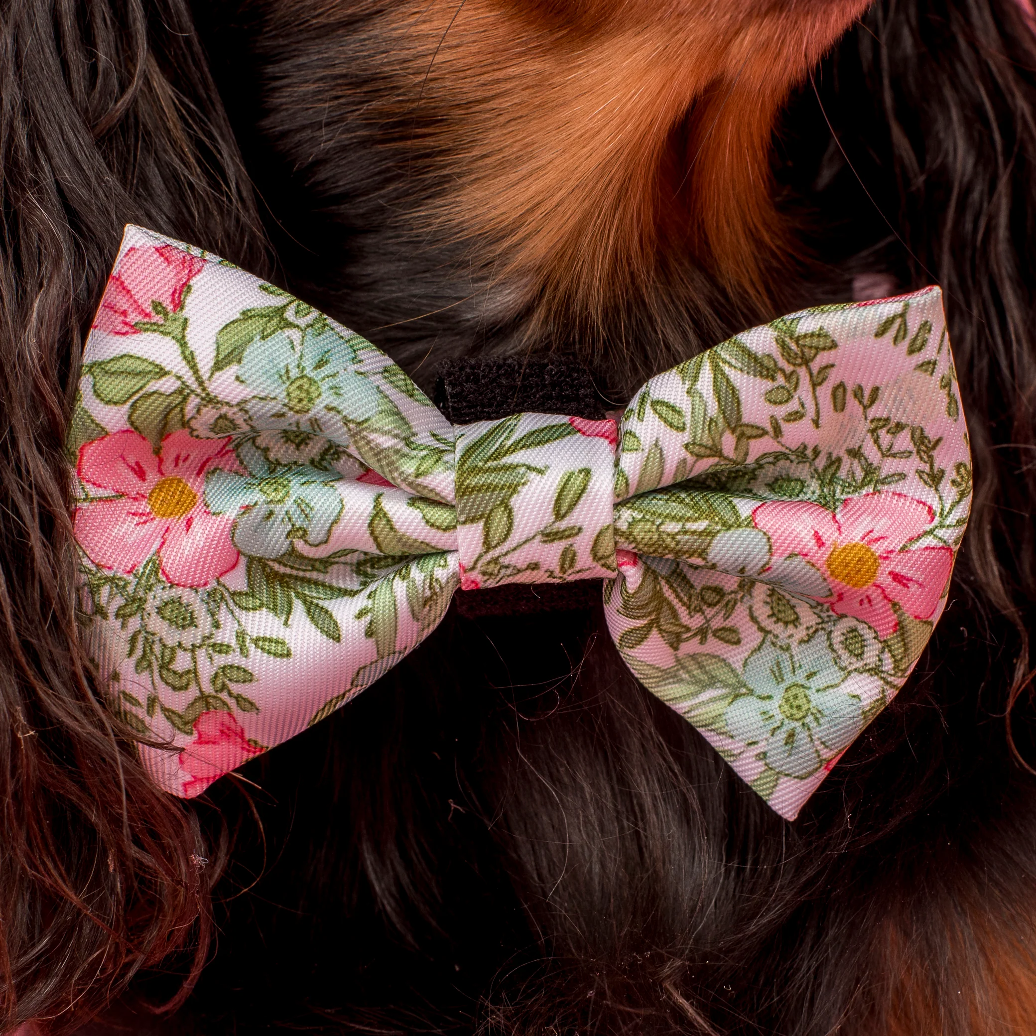 Flora & Fern: Bow Tie - Image 2
