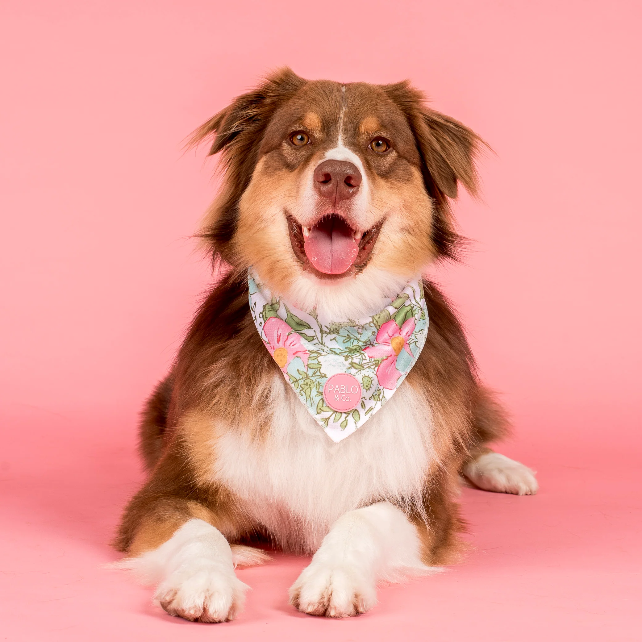 Flora & Fern: Dog Bandana