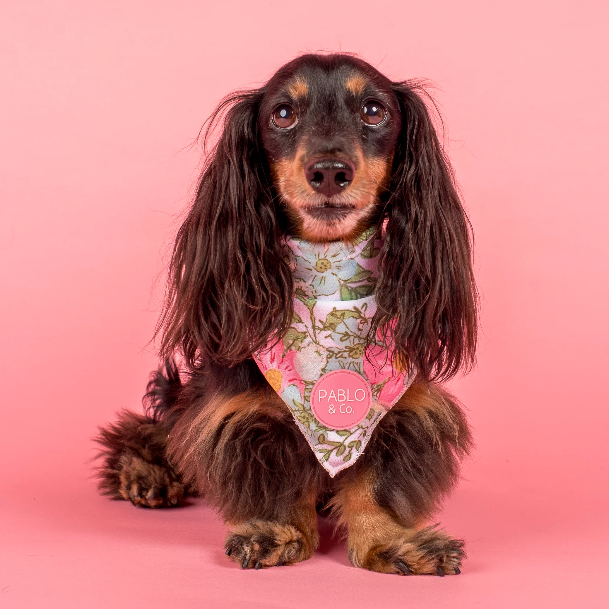 Flora & Fern: Dog Bandana - Image 2