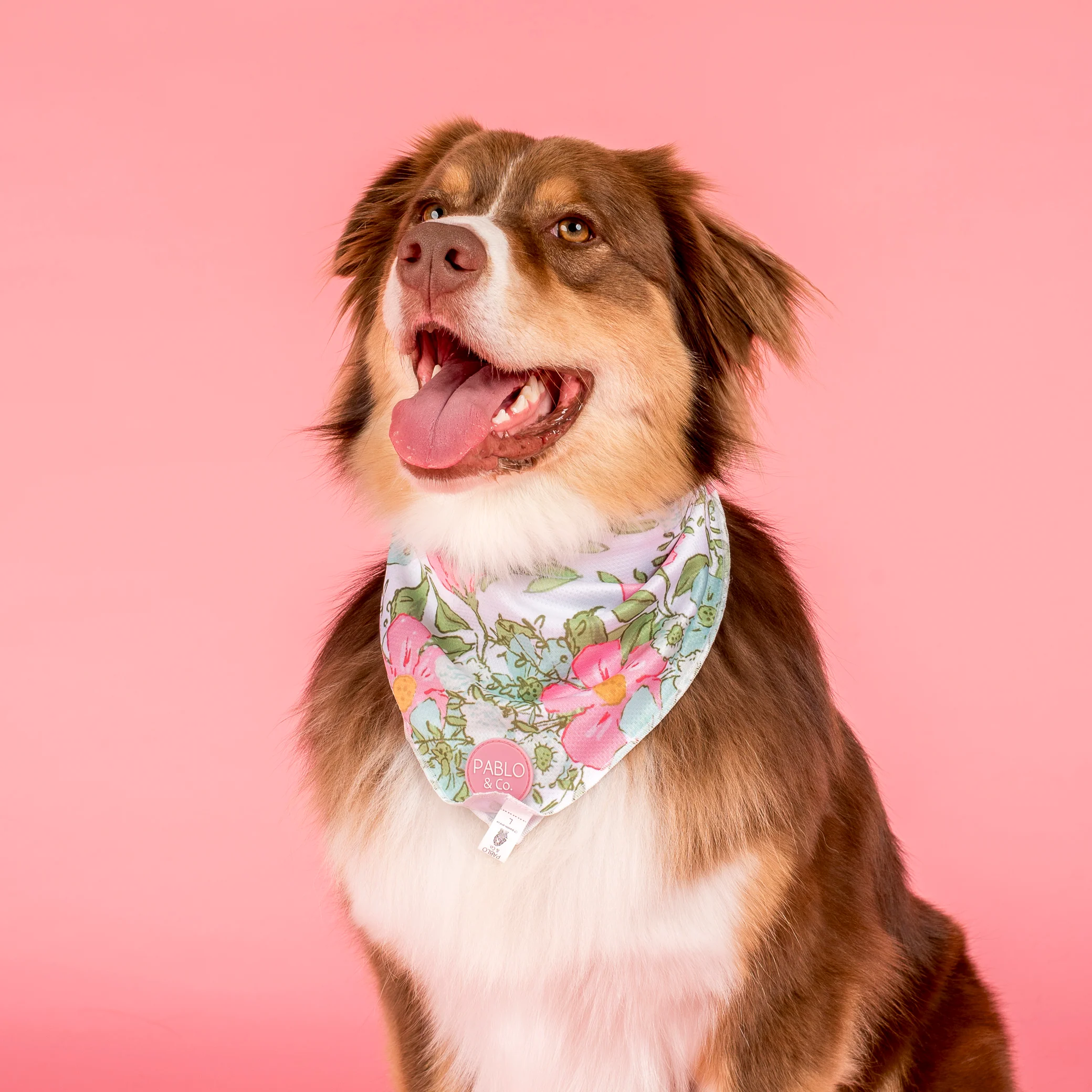 Flora & Fern: Dog Bandana - Image 3