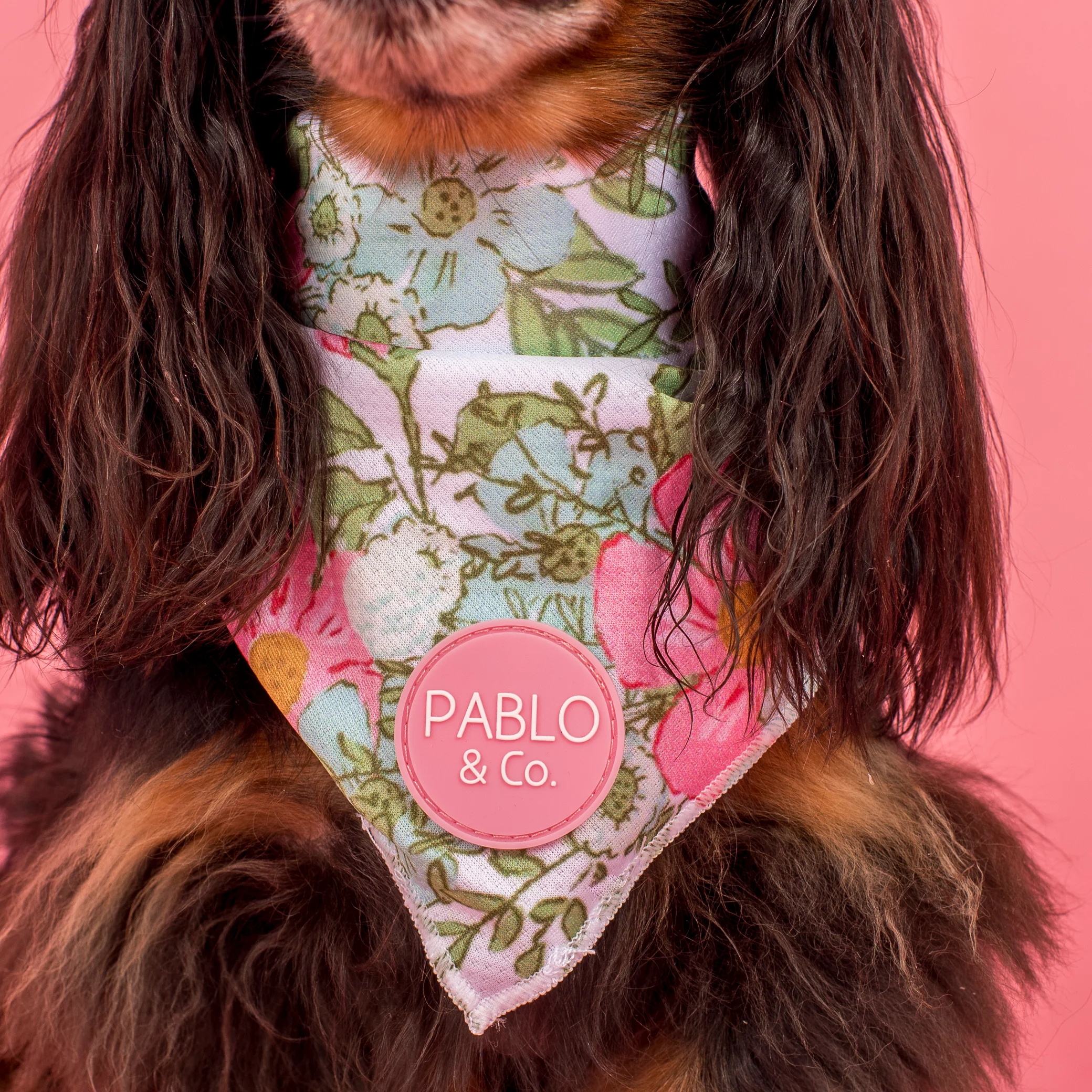 Flora & Fern: Dog Bandana - Image 4