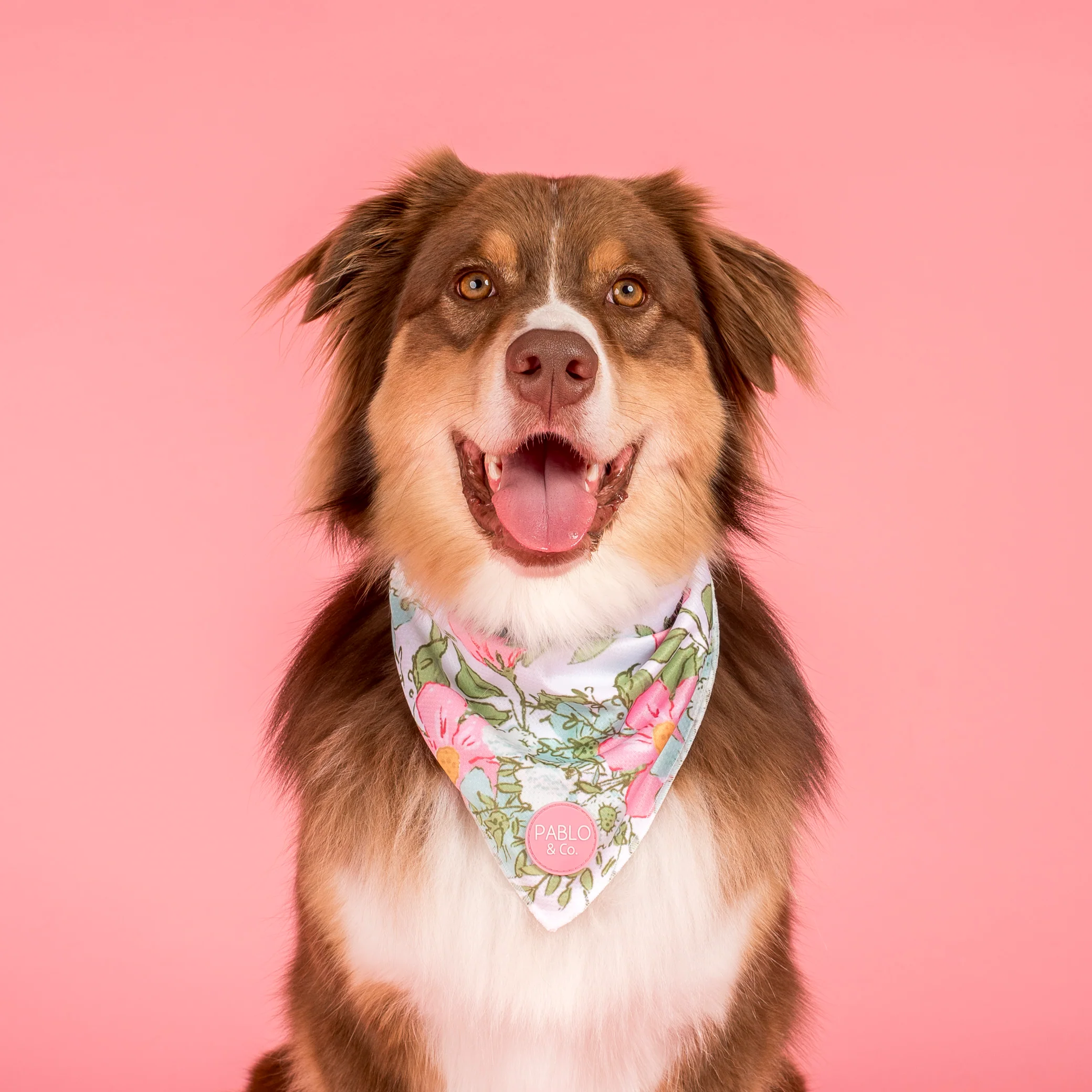 Flora & Fern: Dog Bandana - Image 5