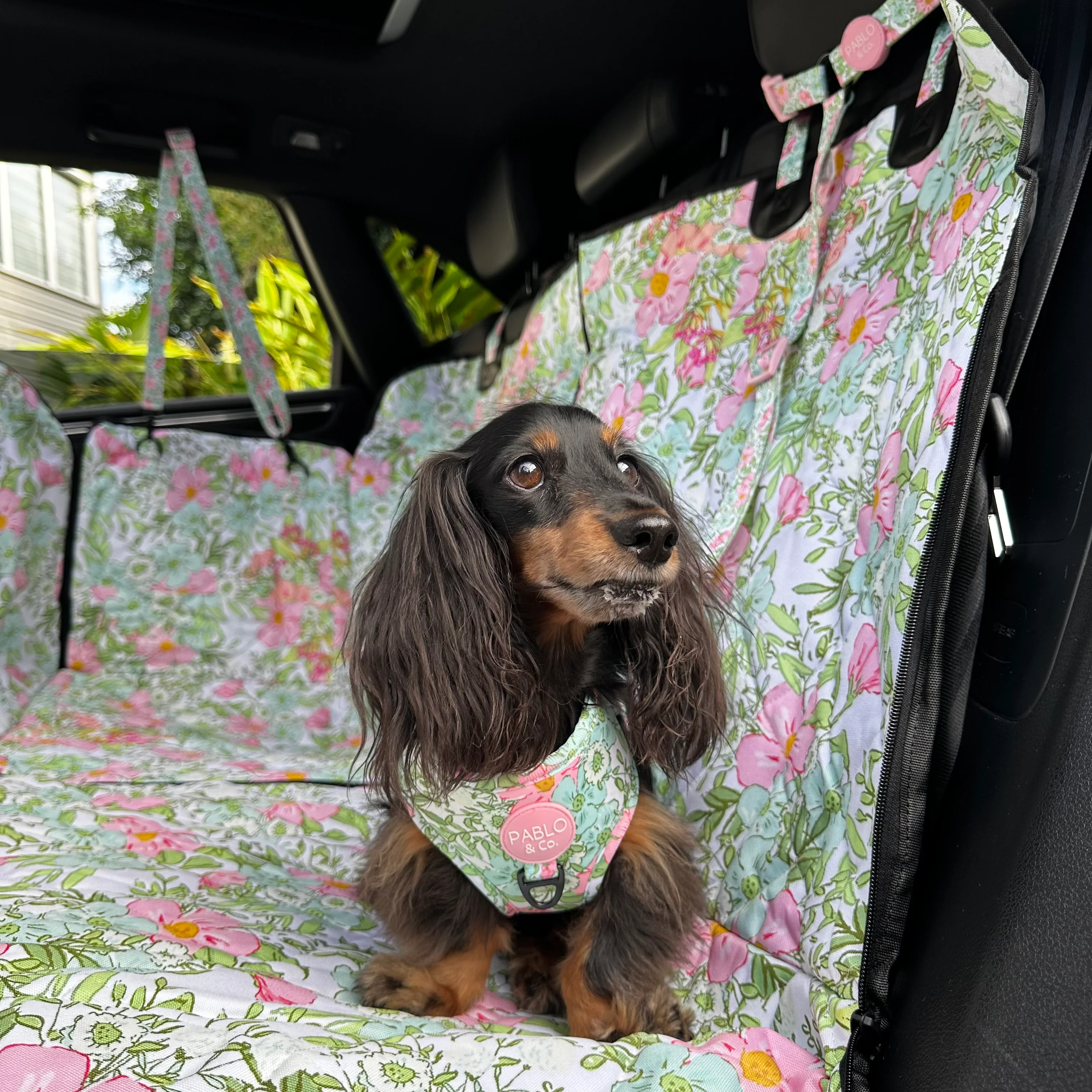 Flora & Fern: Headrest Car Restraint
