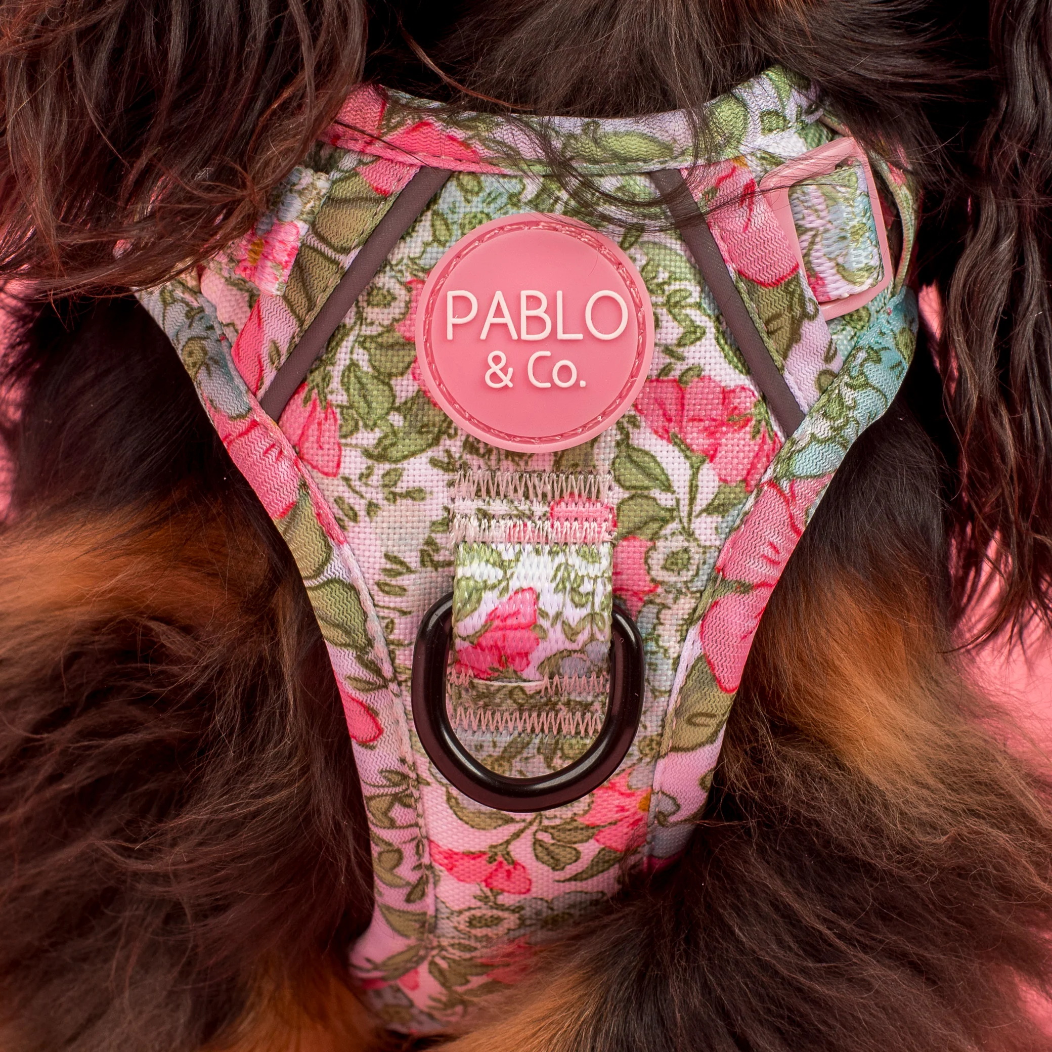 Flora & Fern: No Pull Adventure Harness - Image 3