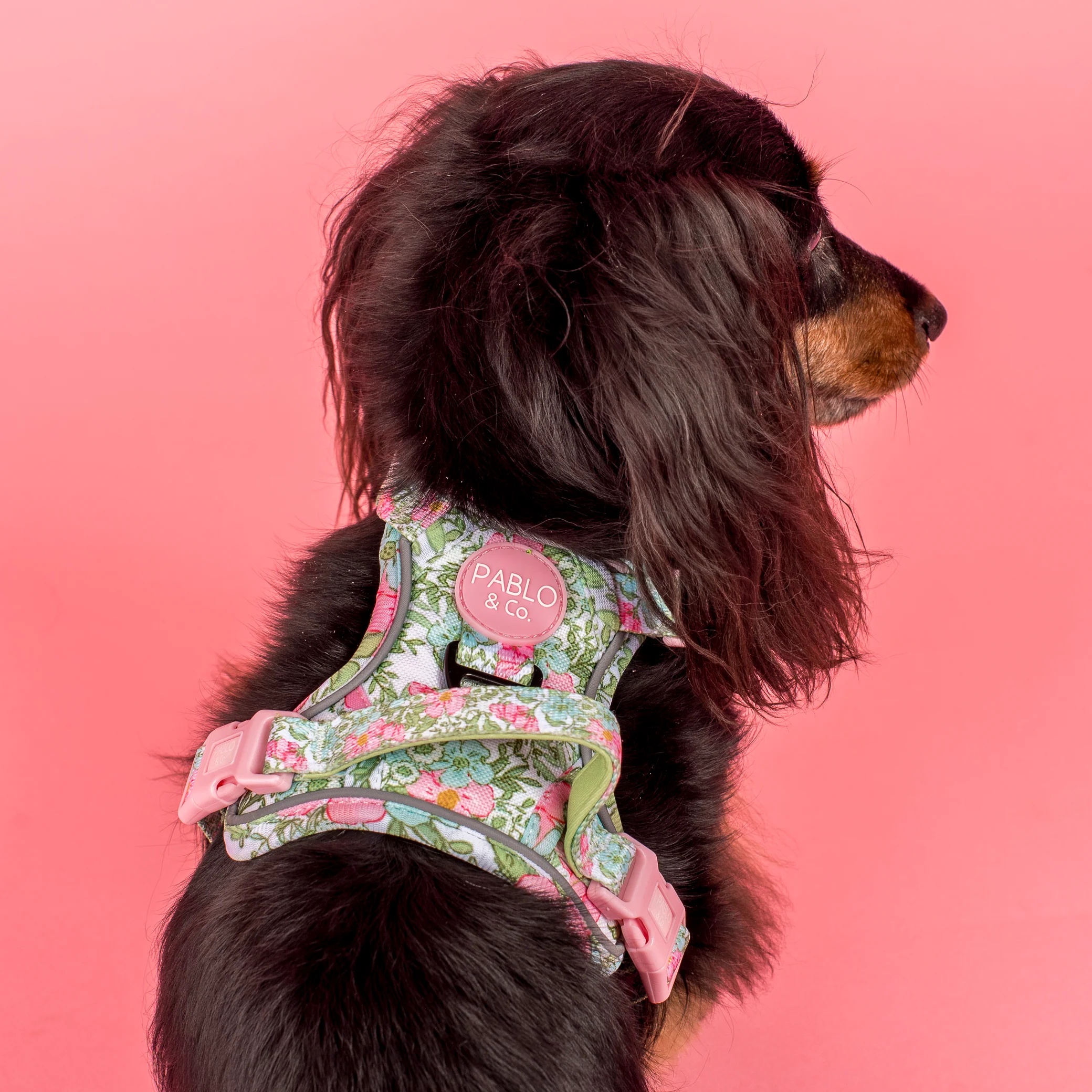 Flora & Fern: No Pull Adventure Harness - Image 4