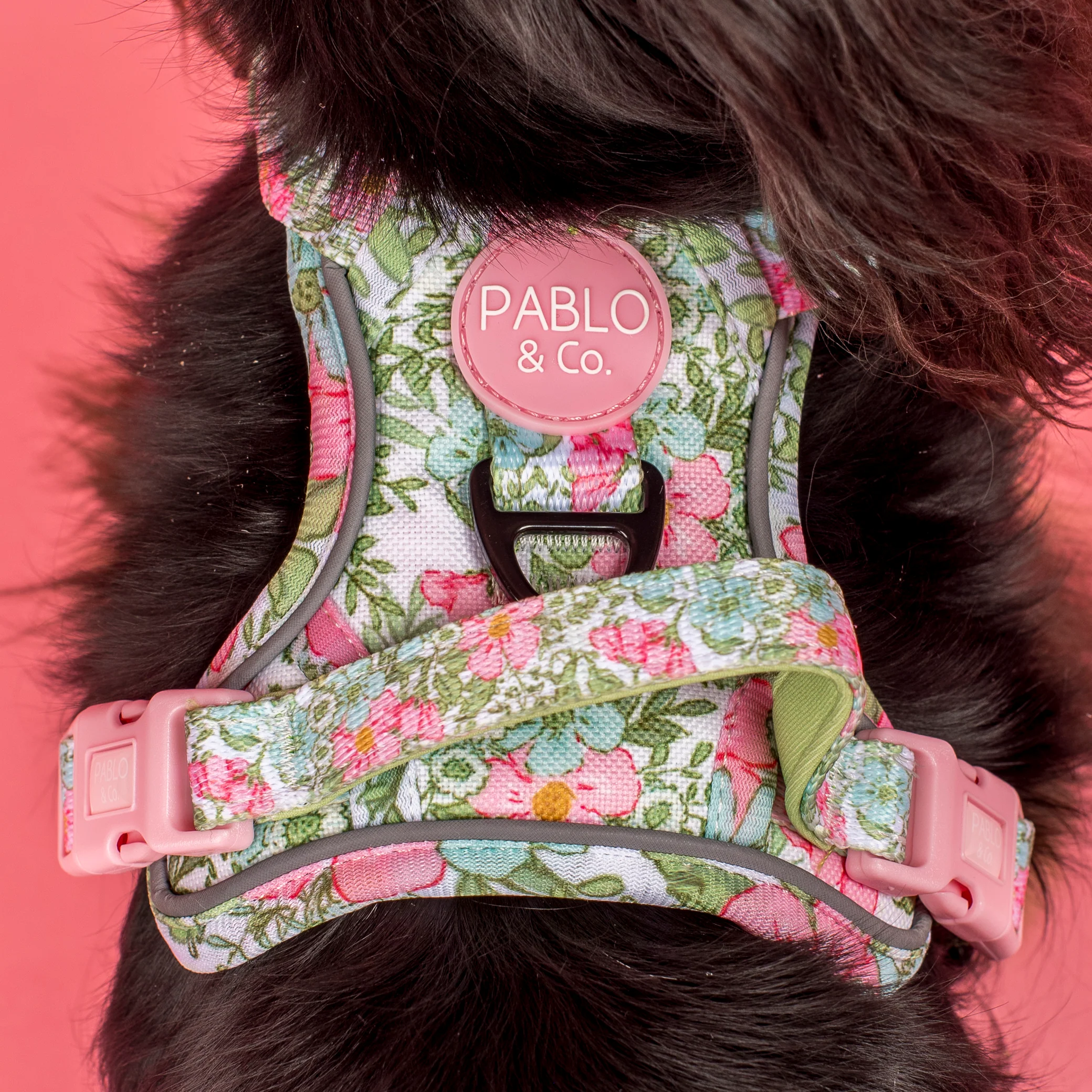 Flora & Fern: No Pull Adventure Harness - Image 6