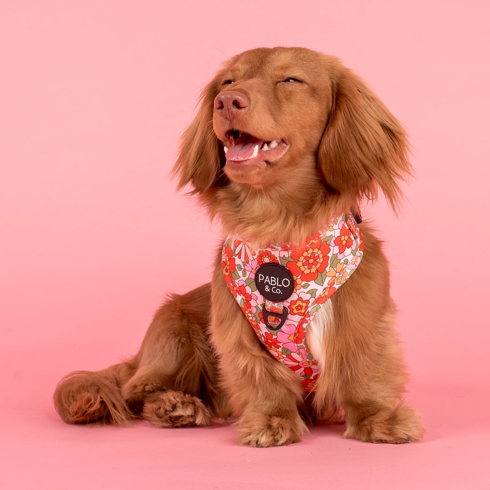 Flowers in the Field: Adjustable Harness - Image 3